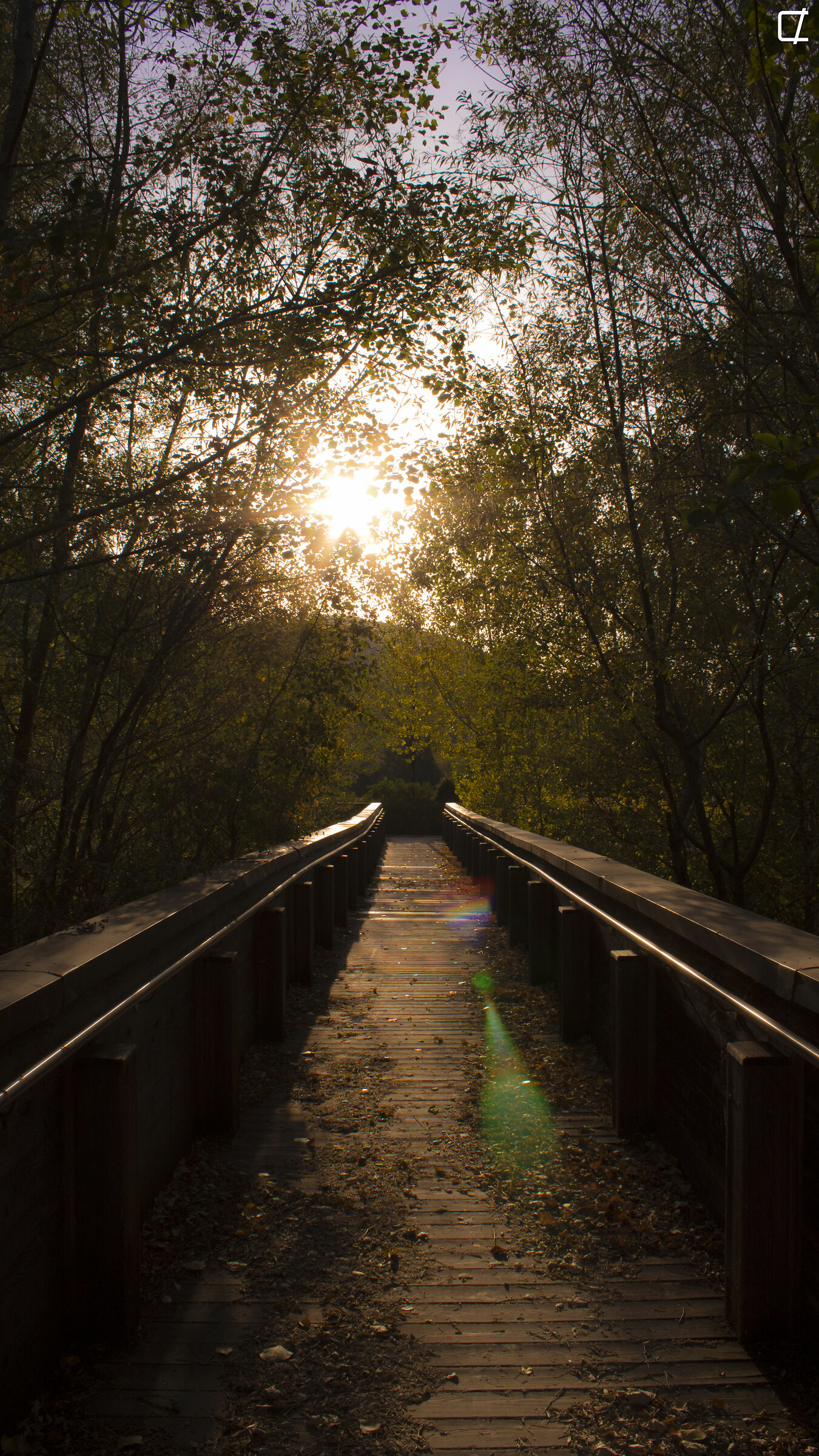 walks at the Rio Grande urban river park