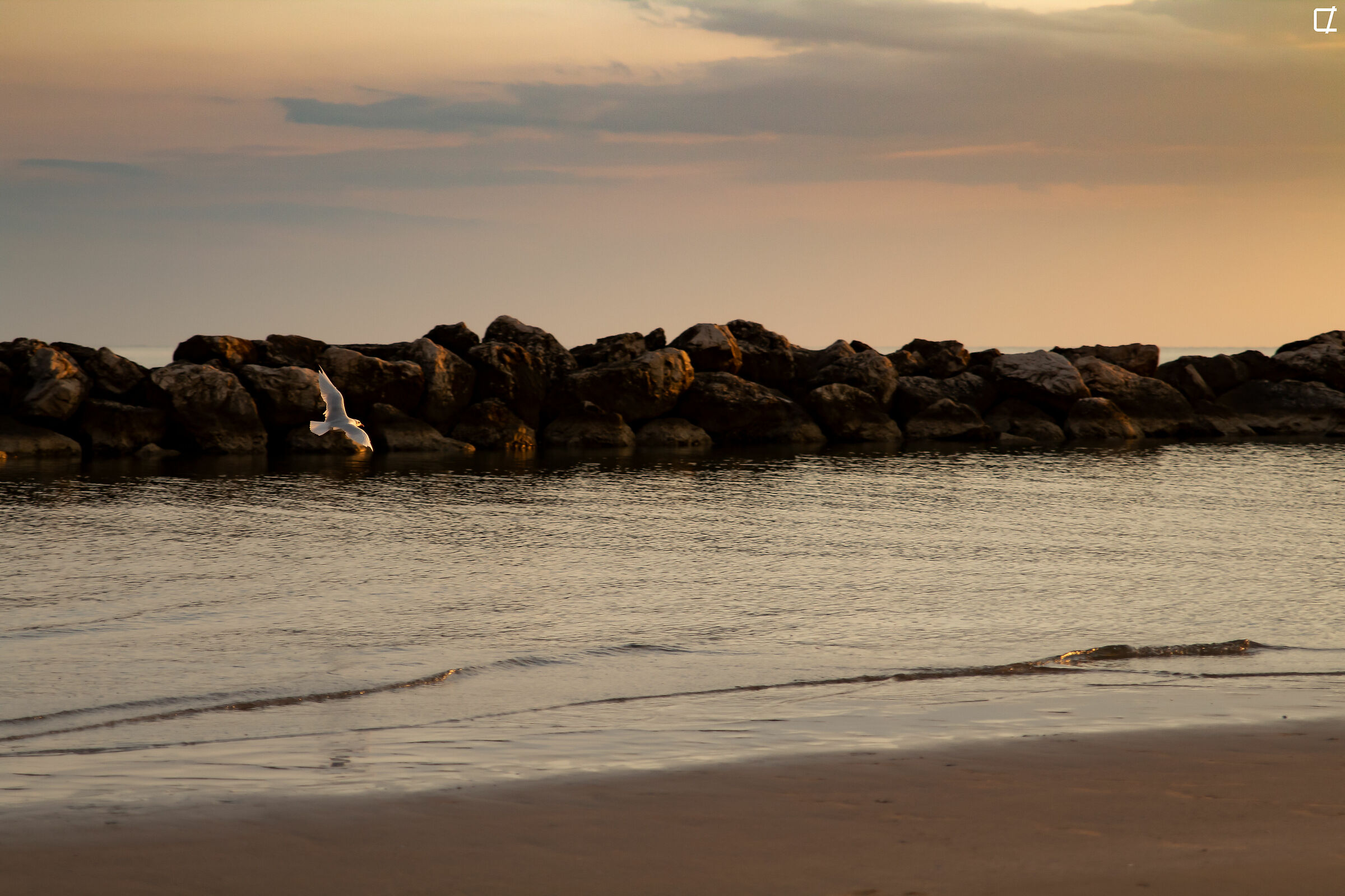 infinite freedom pt.2