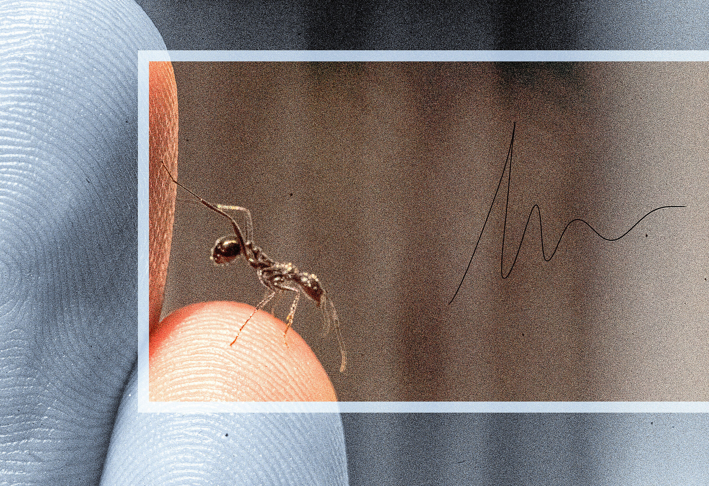 Batti 5 amico sei dentro il mio metro quadro...