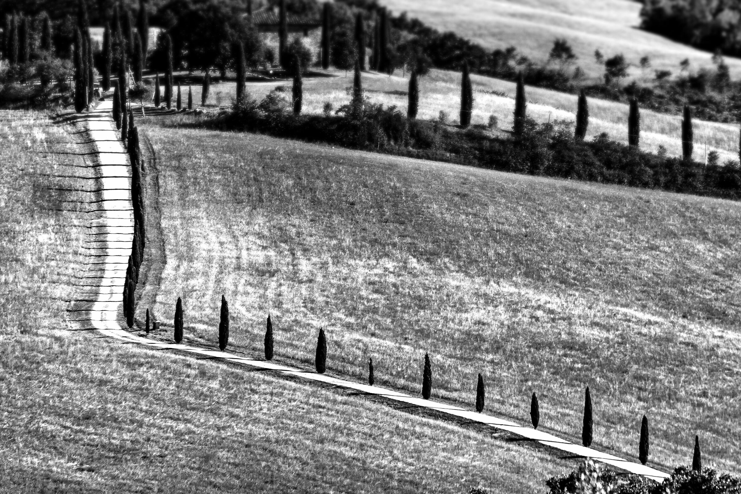 paesaggio pressi san casciano(si)campagna limitrofe