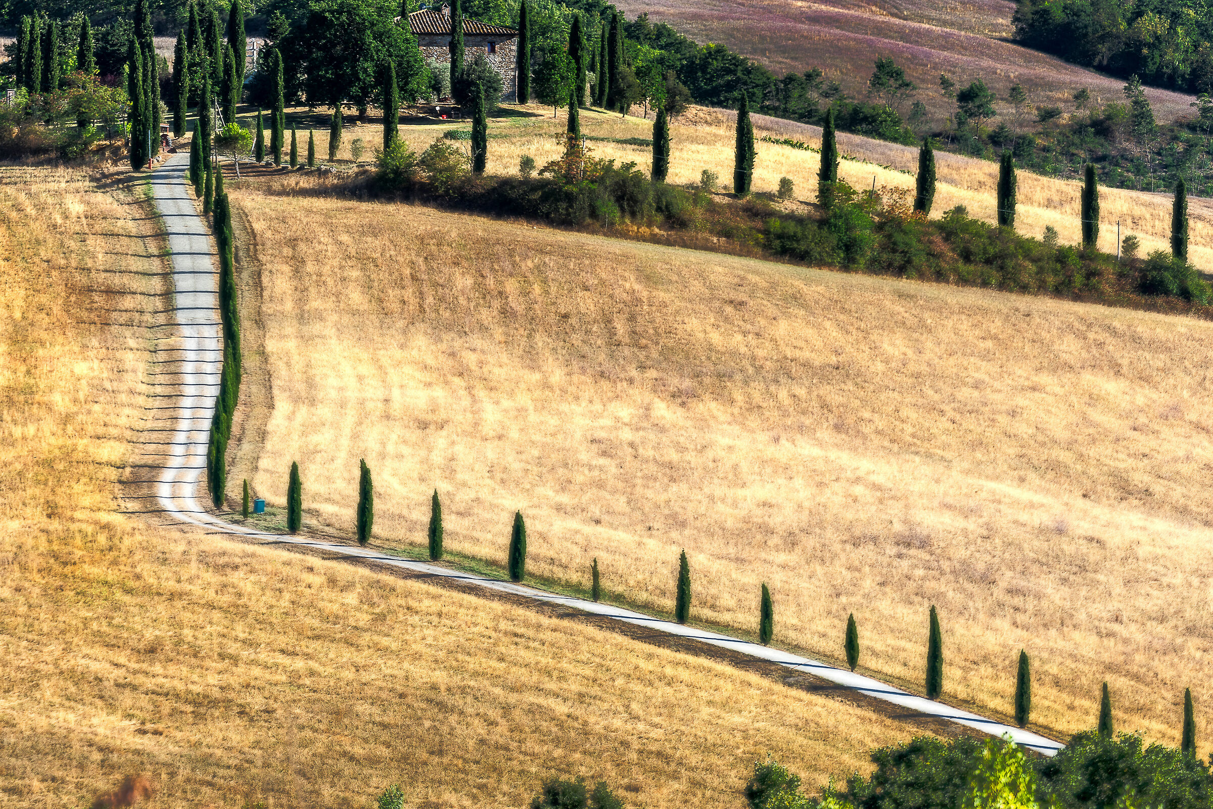 paesaggio pressi san casciano(si)campagna limitrofe