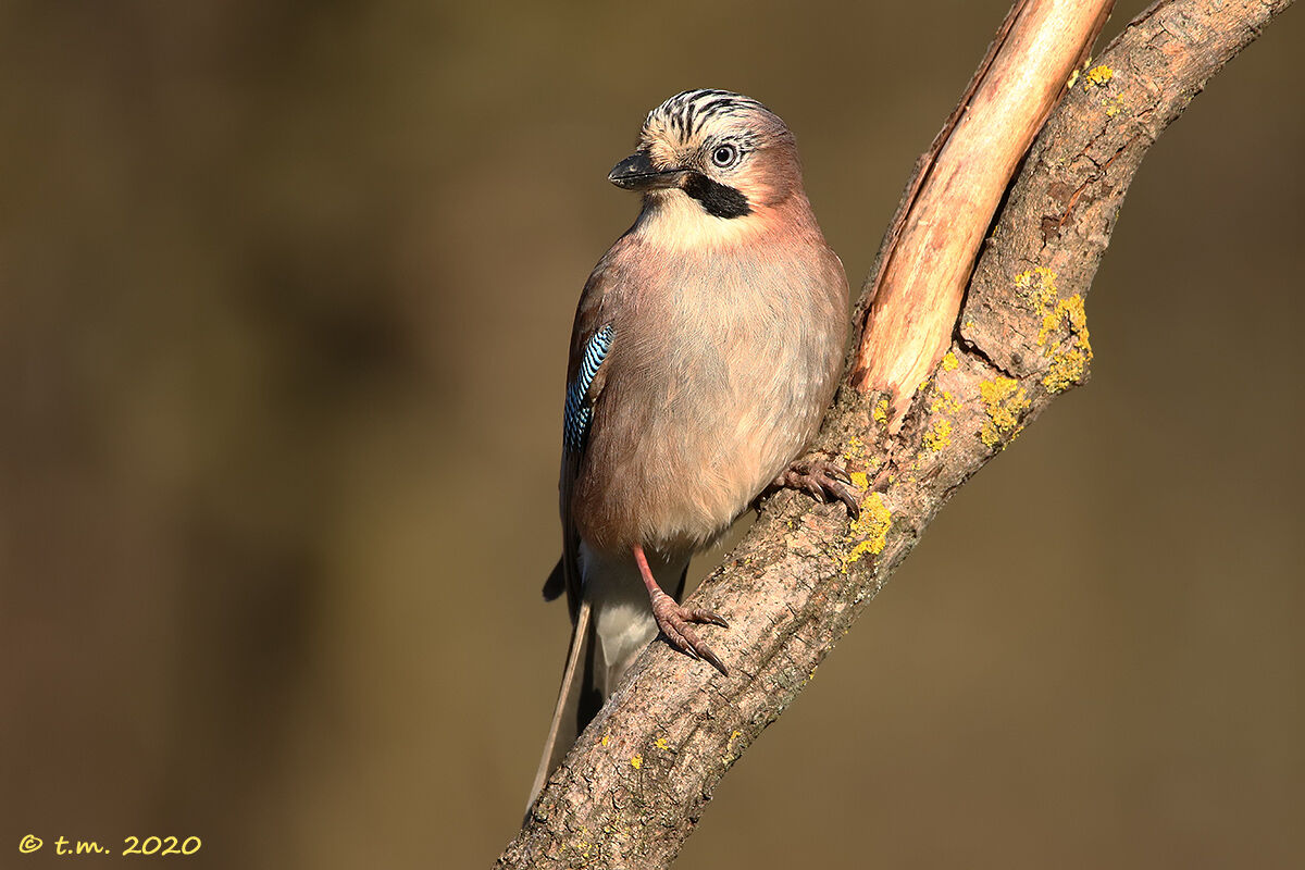 Primo sprazzo di azzurro