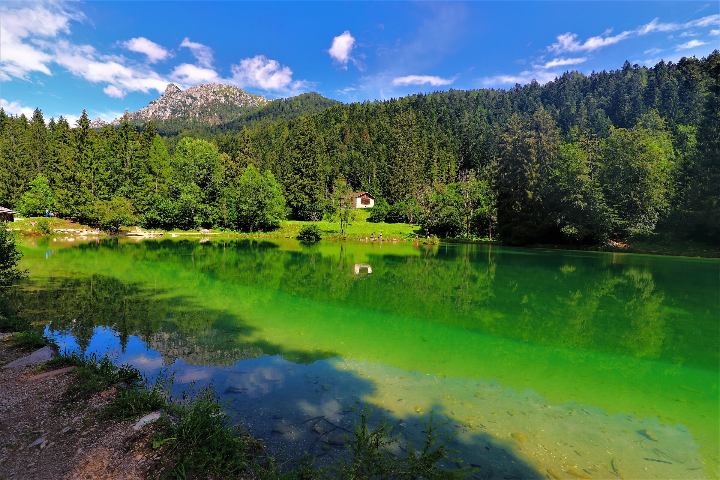 Agordine Valley