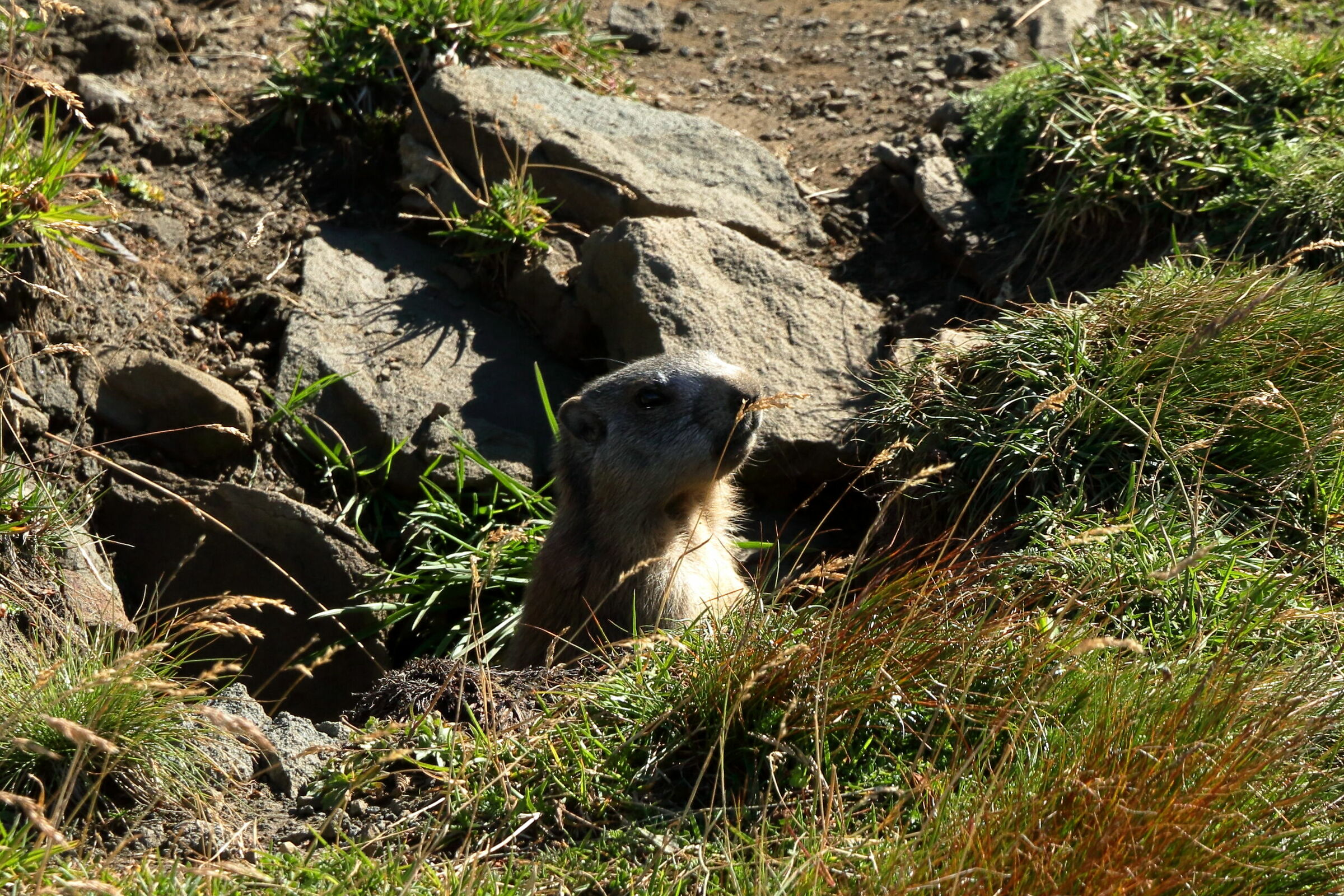 And let me take pictures and then go...