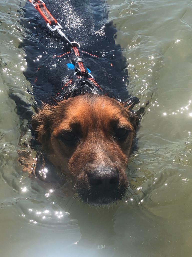 La mia prima nuotata al mare