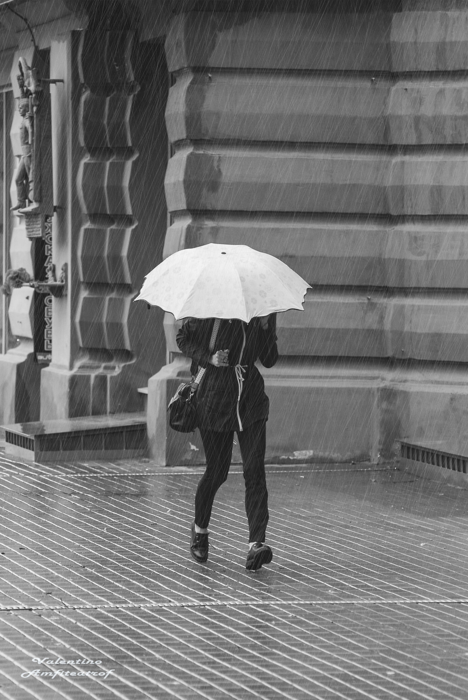 The Ballad of the Umbrella