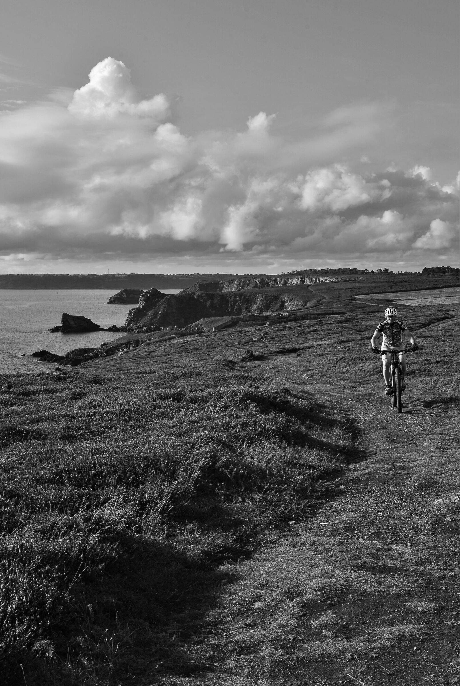 Incontri sul sentiero costiero