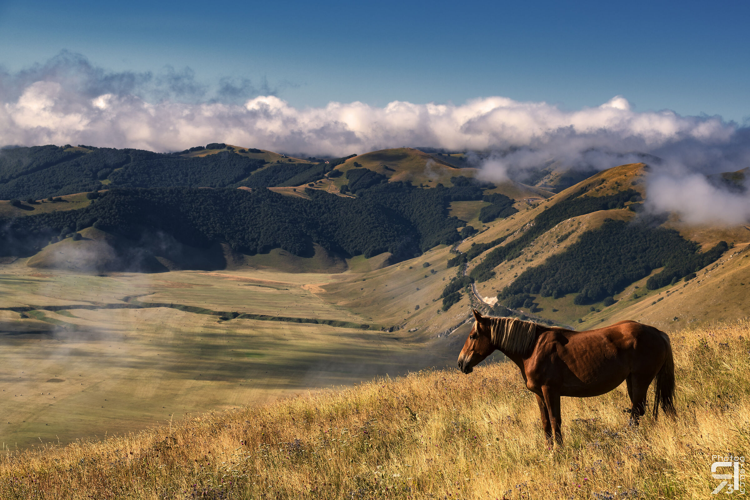 Anche i cavalli ammirano il panorama