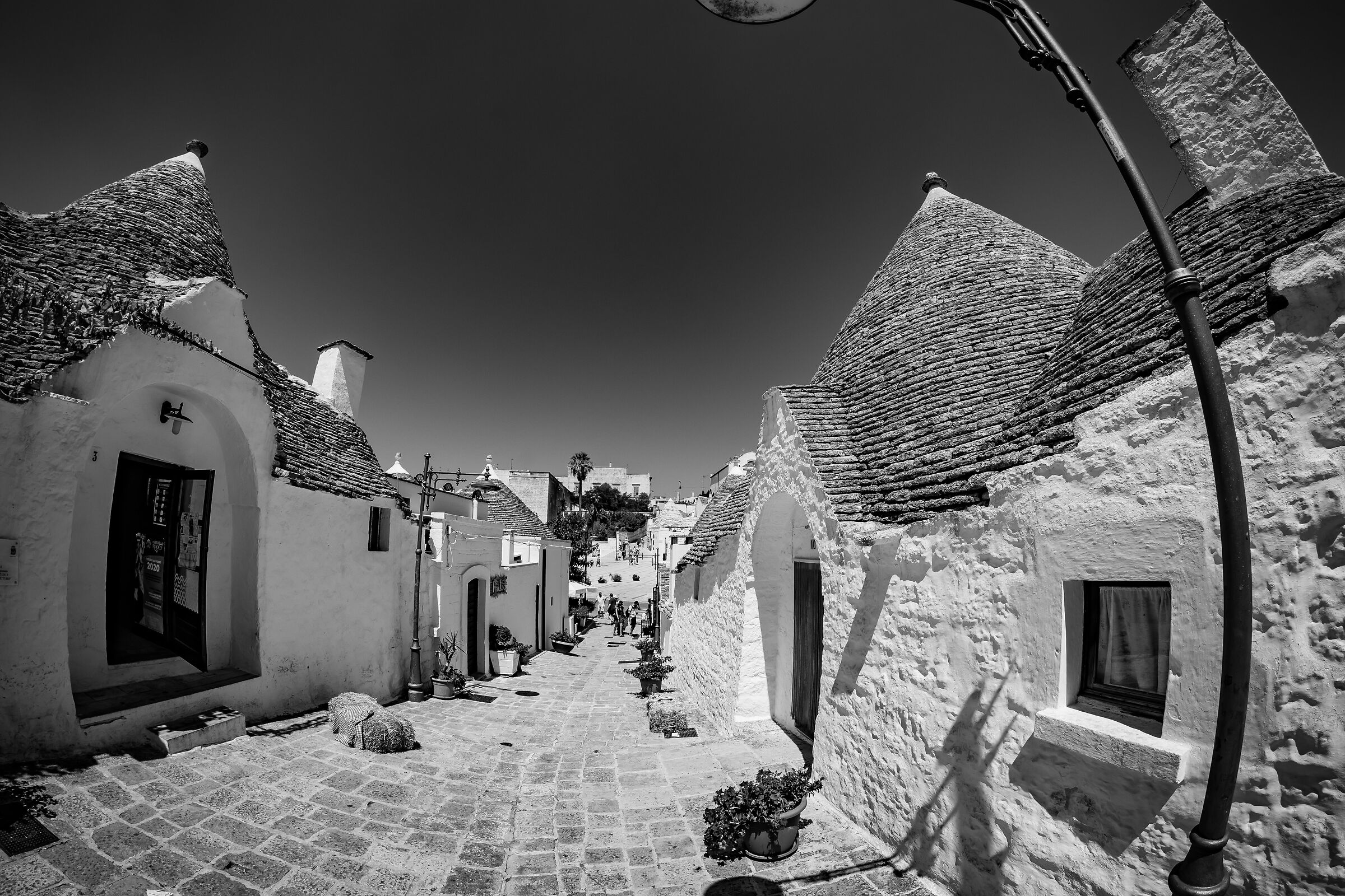 Alberobello BN