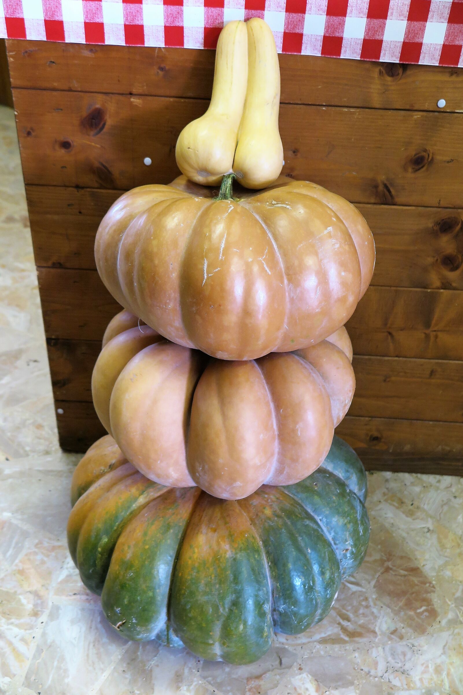 Le zucche di Donatella.