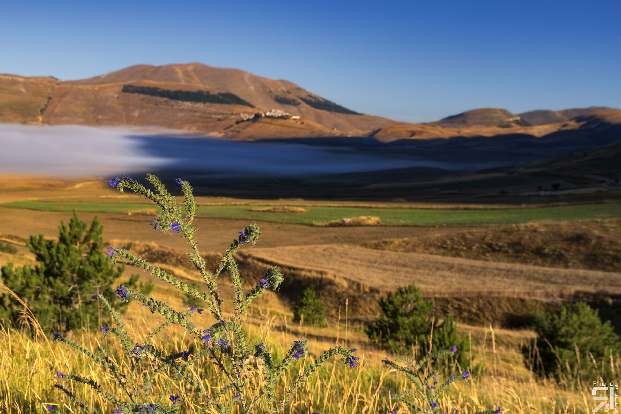 Luci e ombre sulla piana di Castelluccio