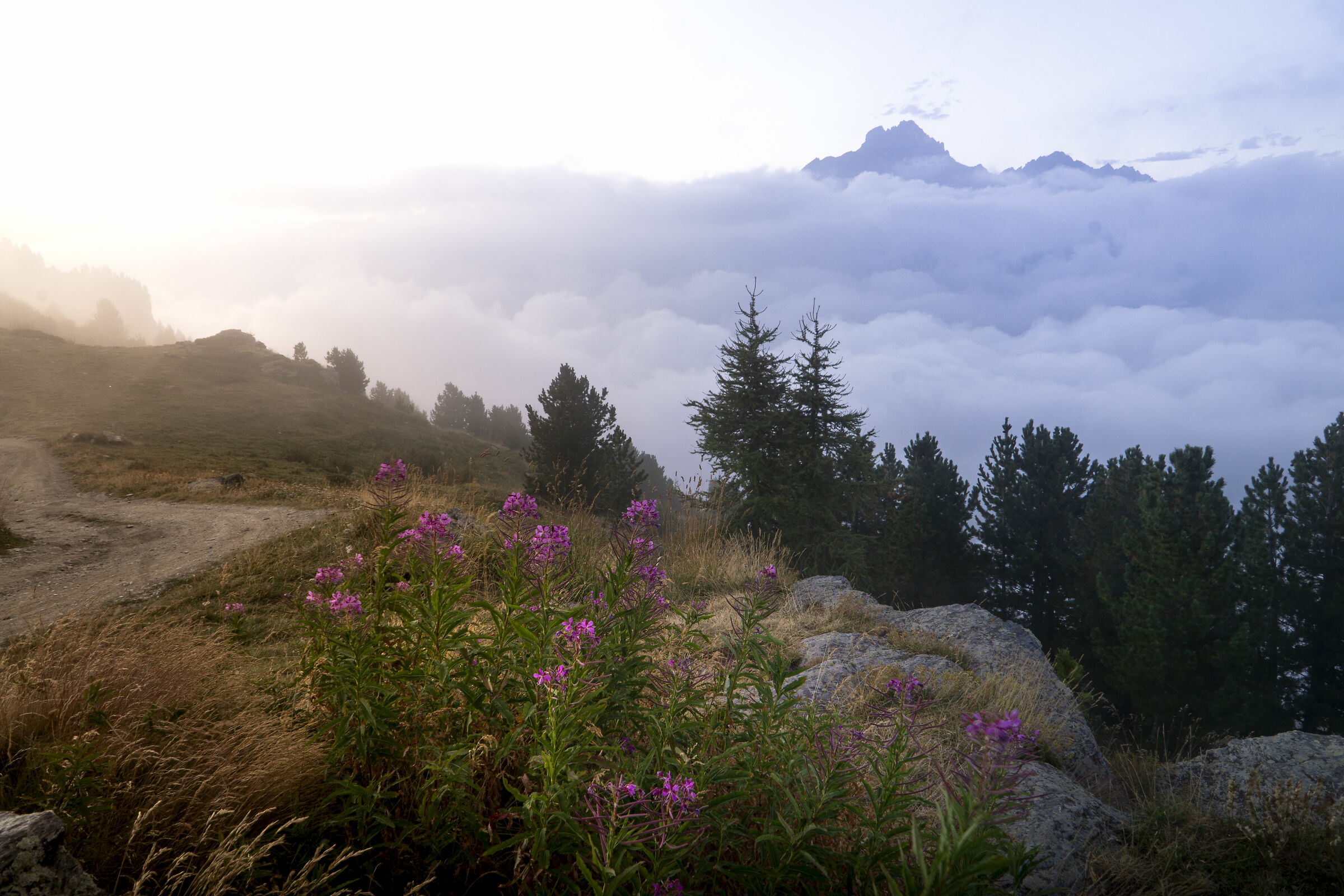 Monviso sopra alle nuvole