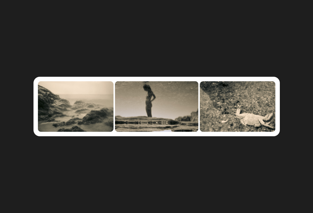 rosalia triptych, 2015