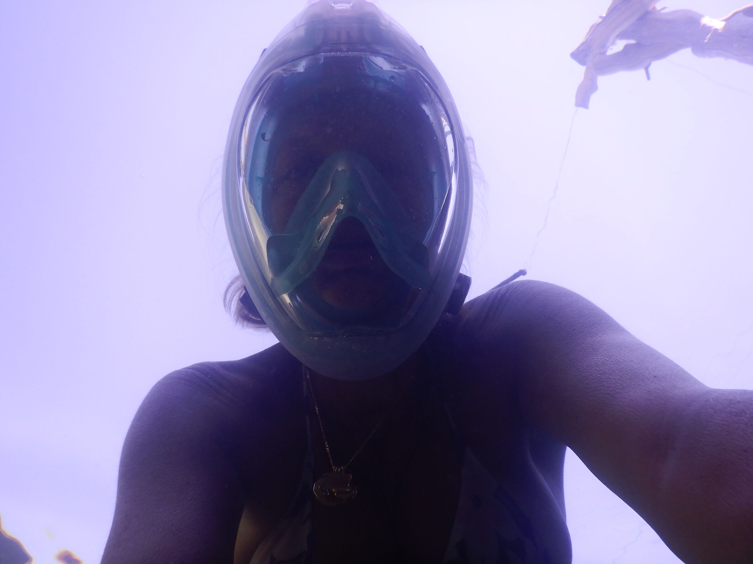 Ma questa sta ancora qua