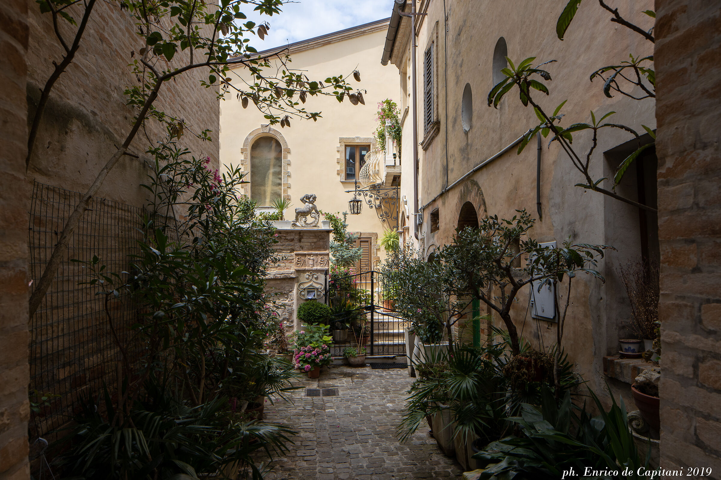 Montefiore of Aso, 2