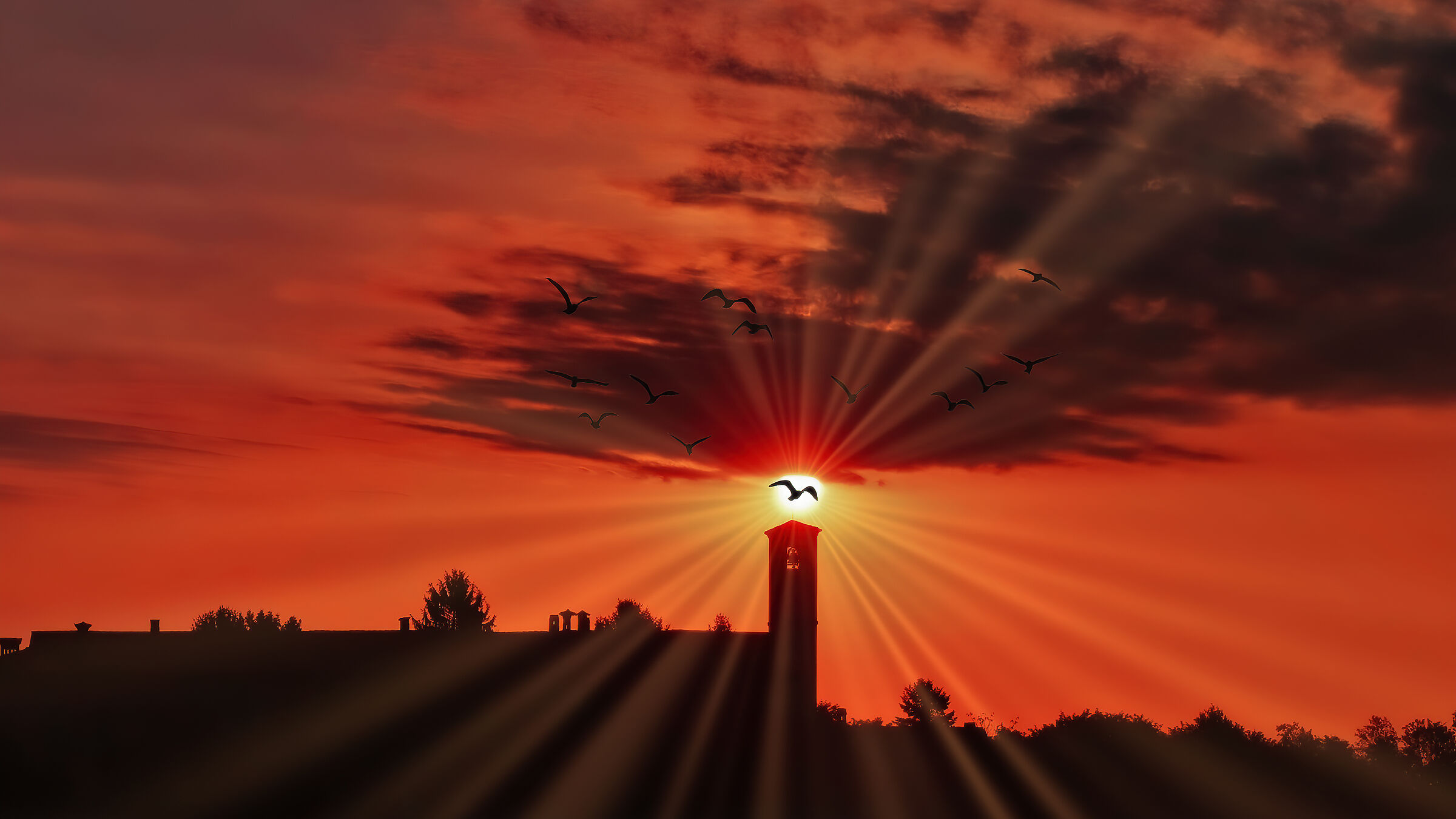 Tra le rossastre nubi stormi d'uccelli neri