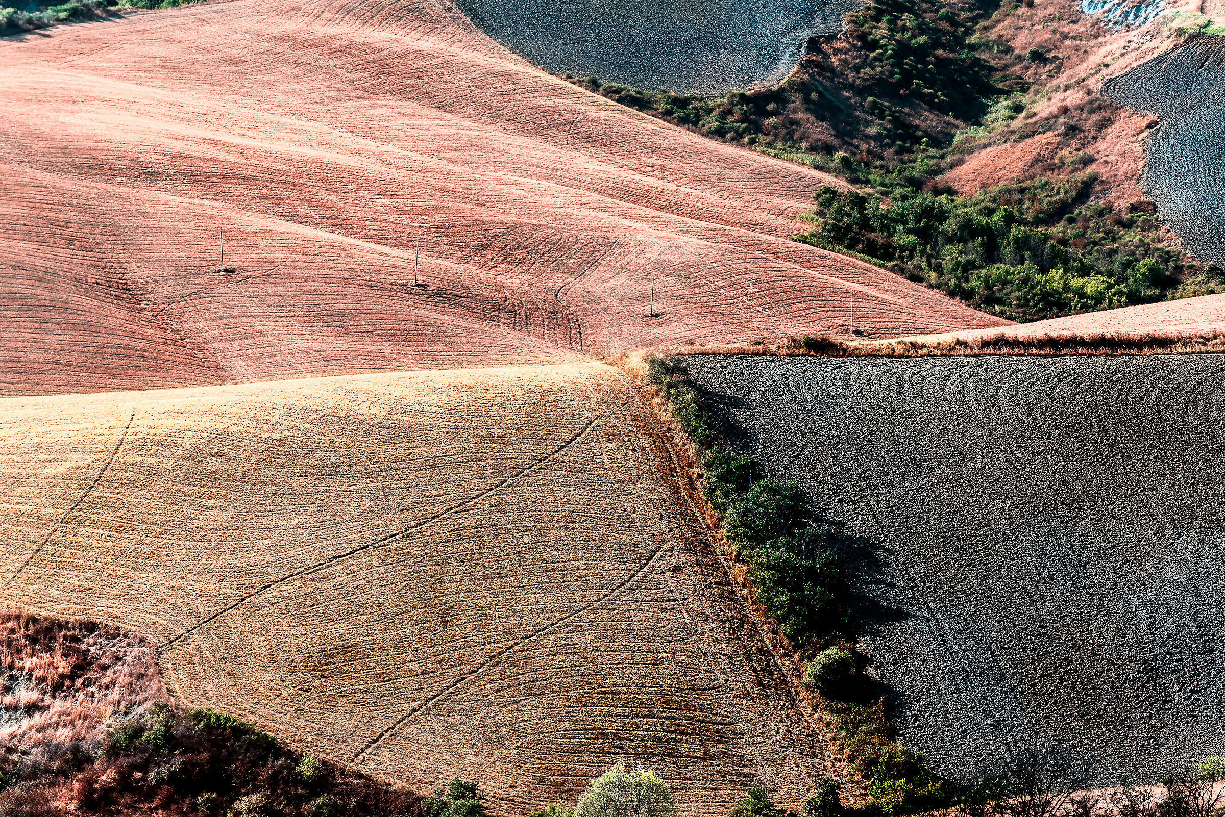 la terra offre colori e tavolozza e l'uomo dipinge