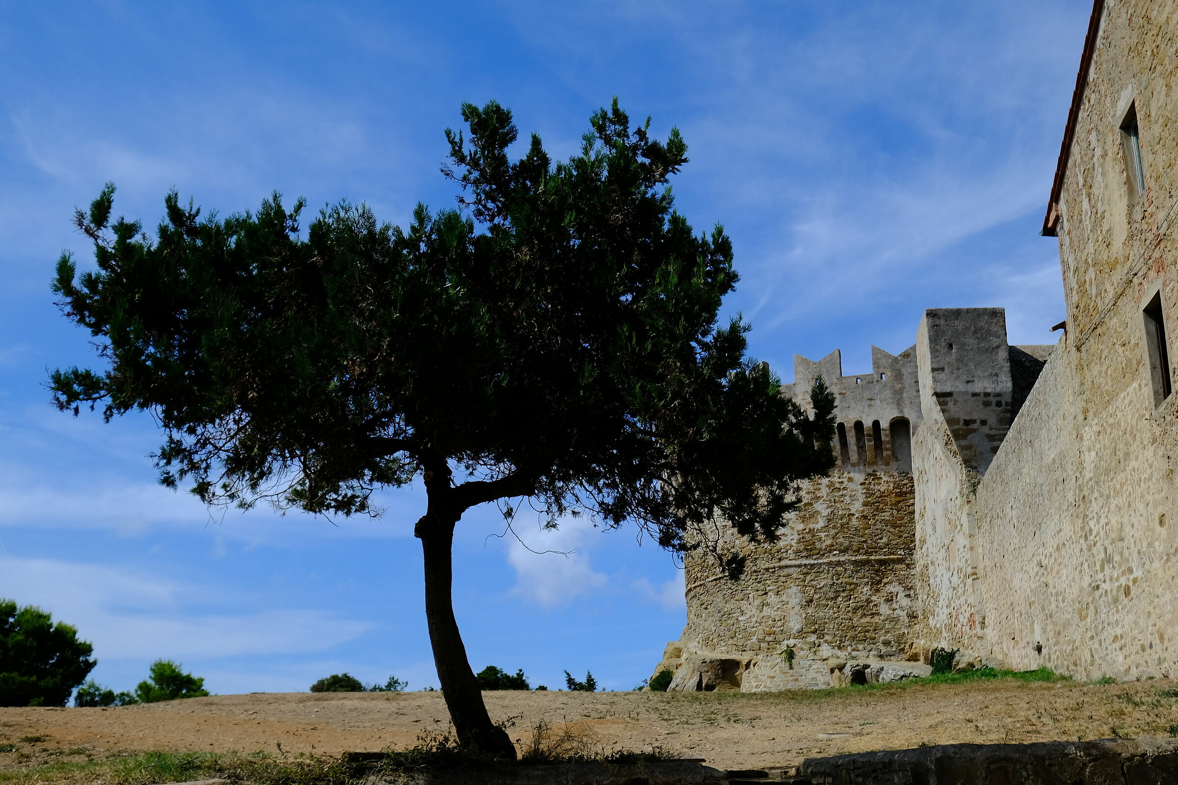 Populonia