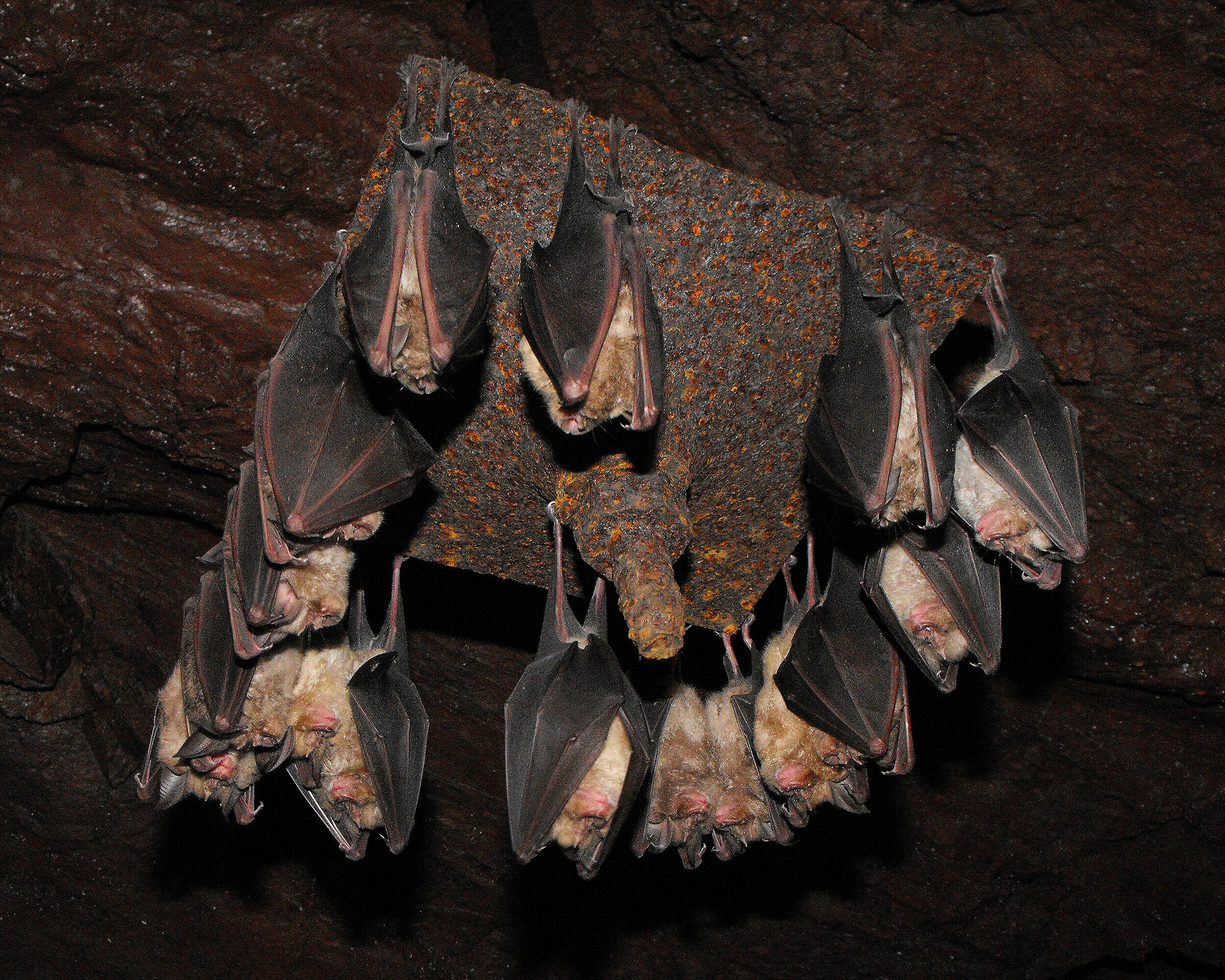 Tutti lungo il perimetro