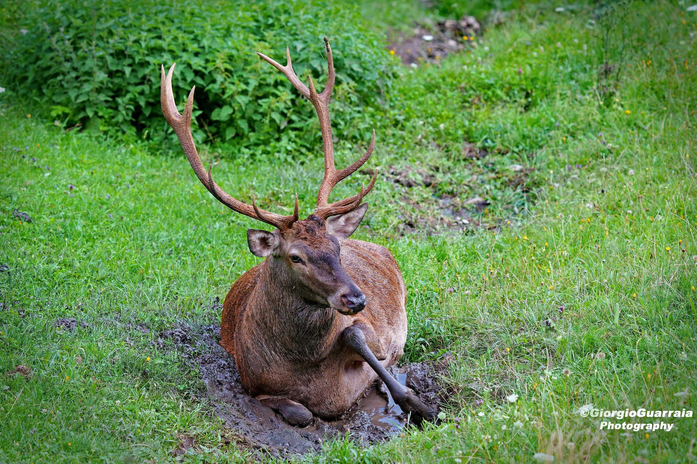 Una rinfrescatina...