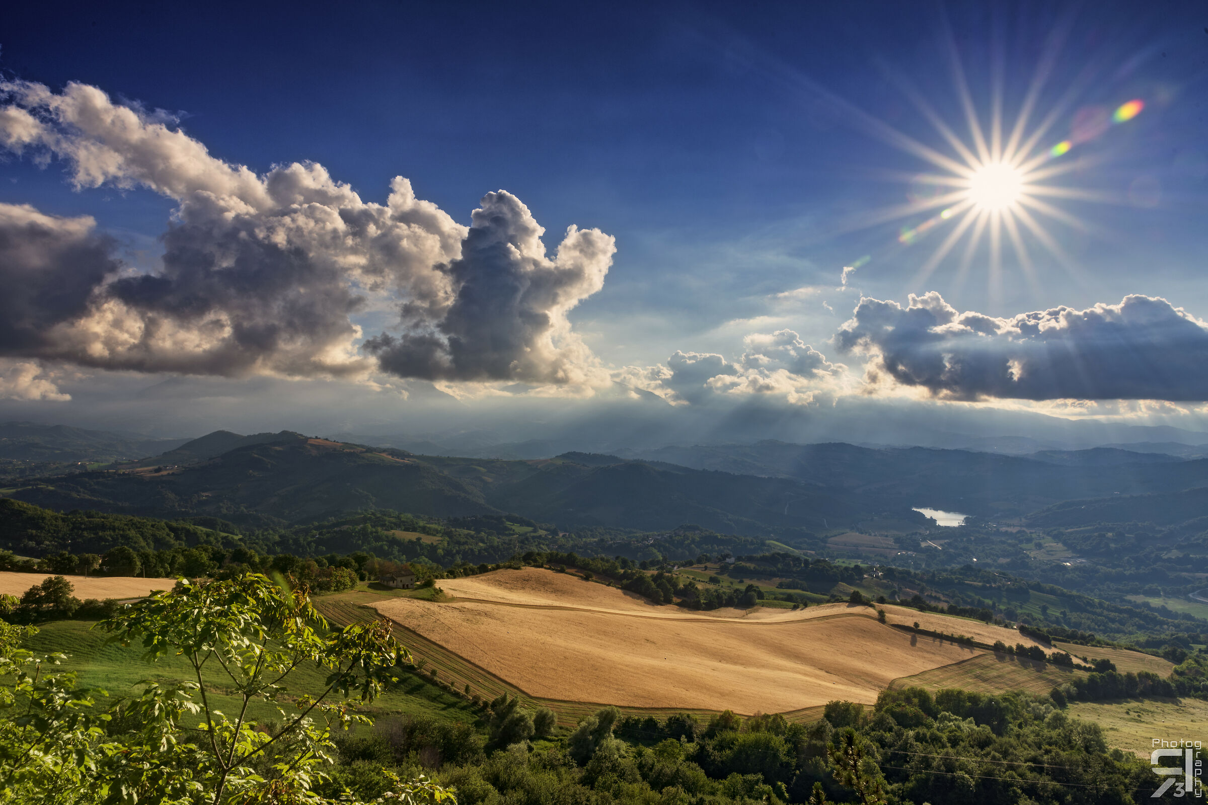 Lights on golden fields