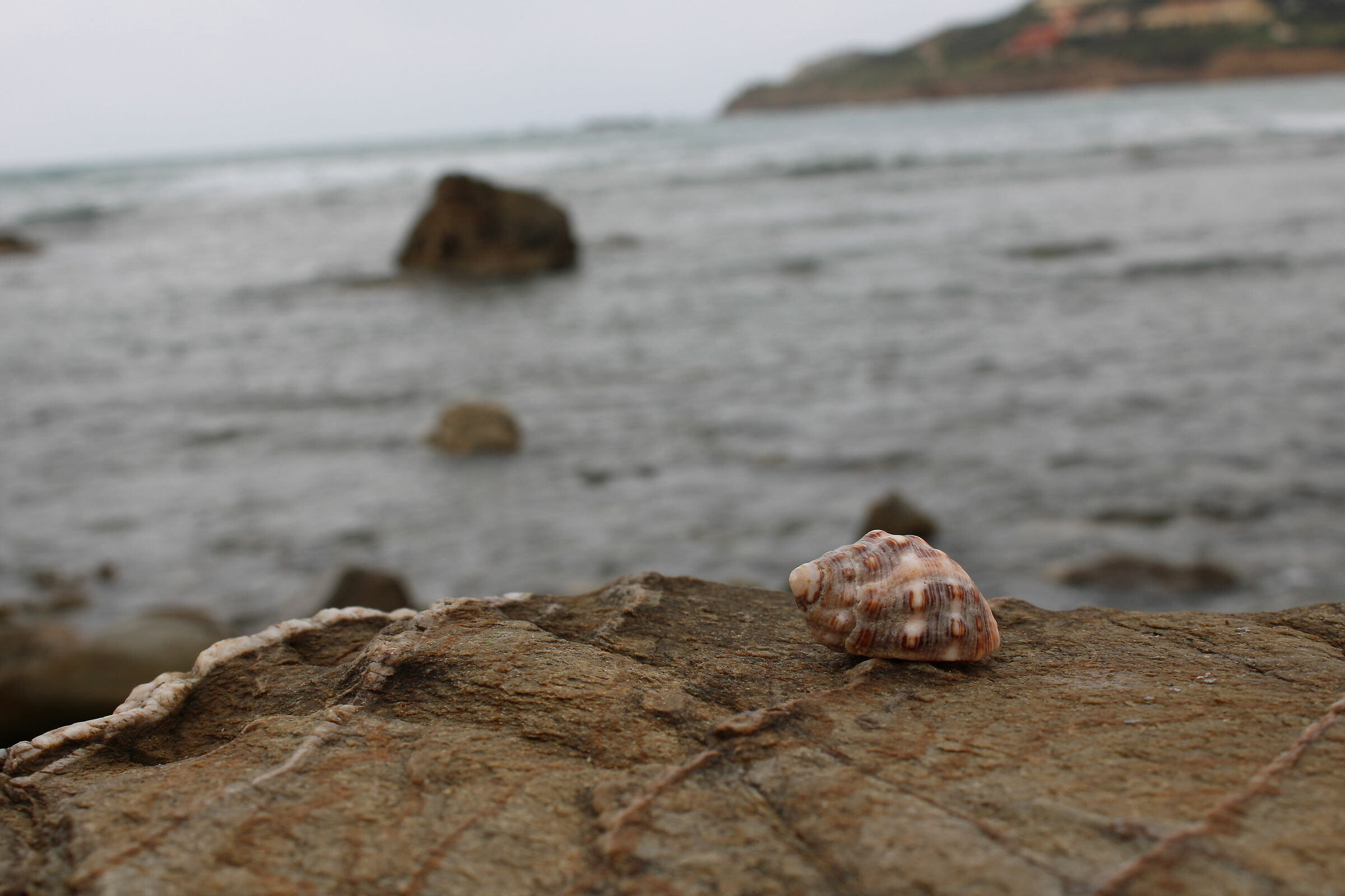 Meraviglie della natura