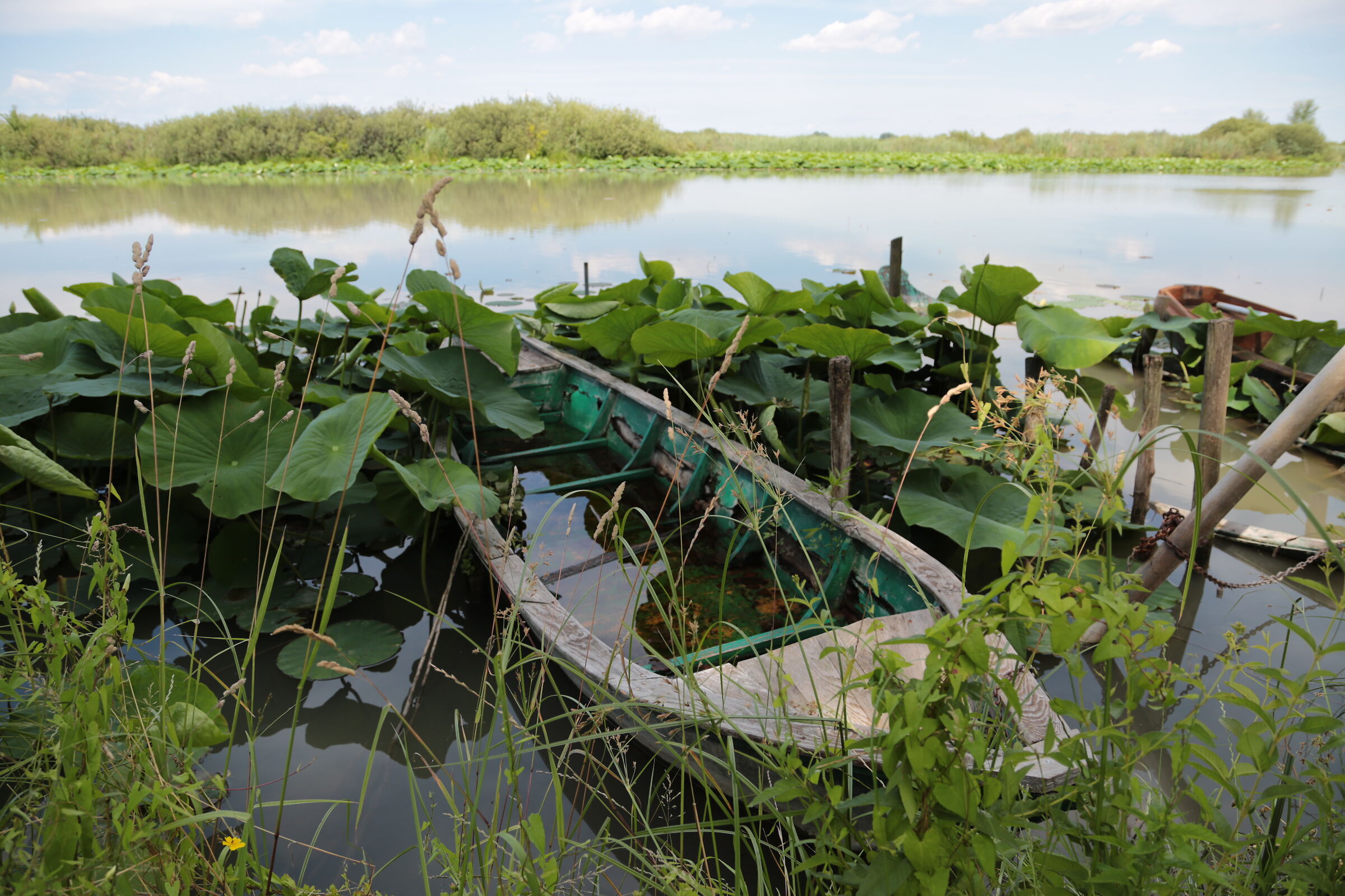 le grazie  lago abbandonato