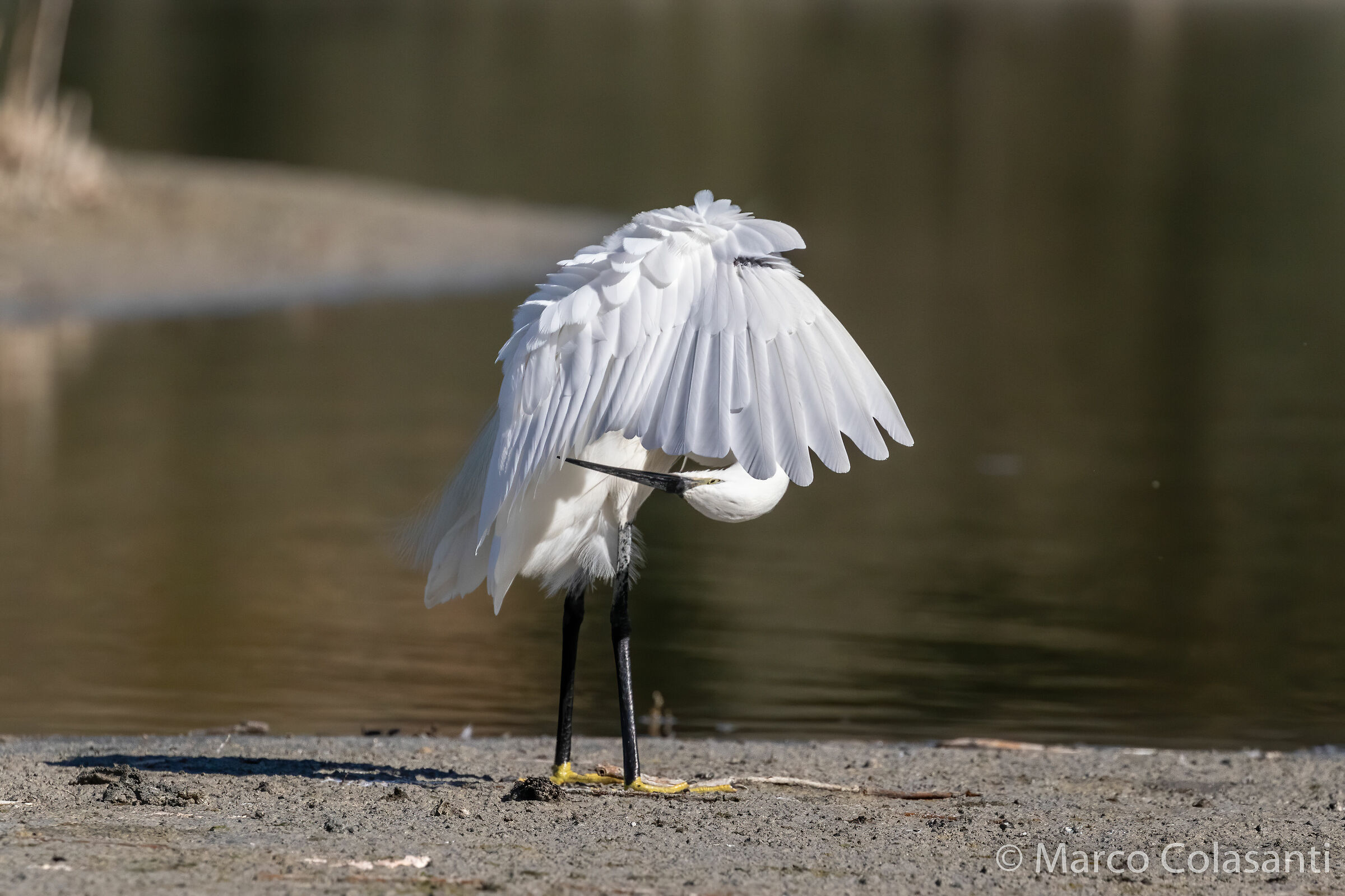 I'll settle down for a moment....