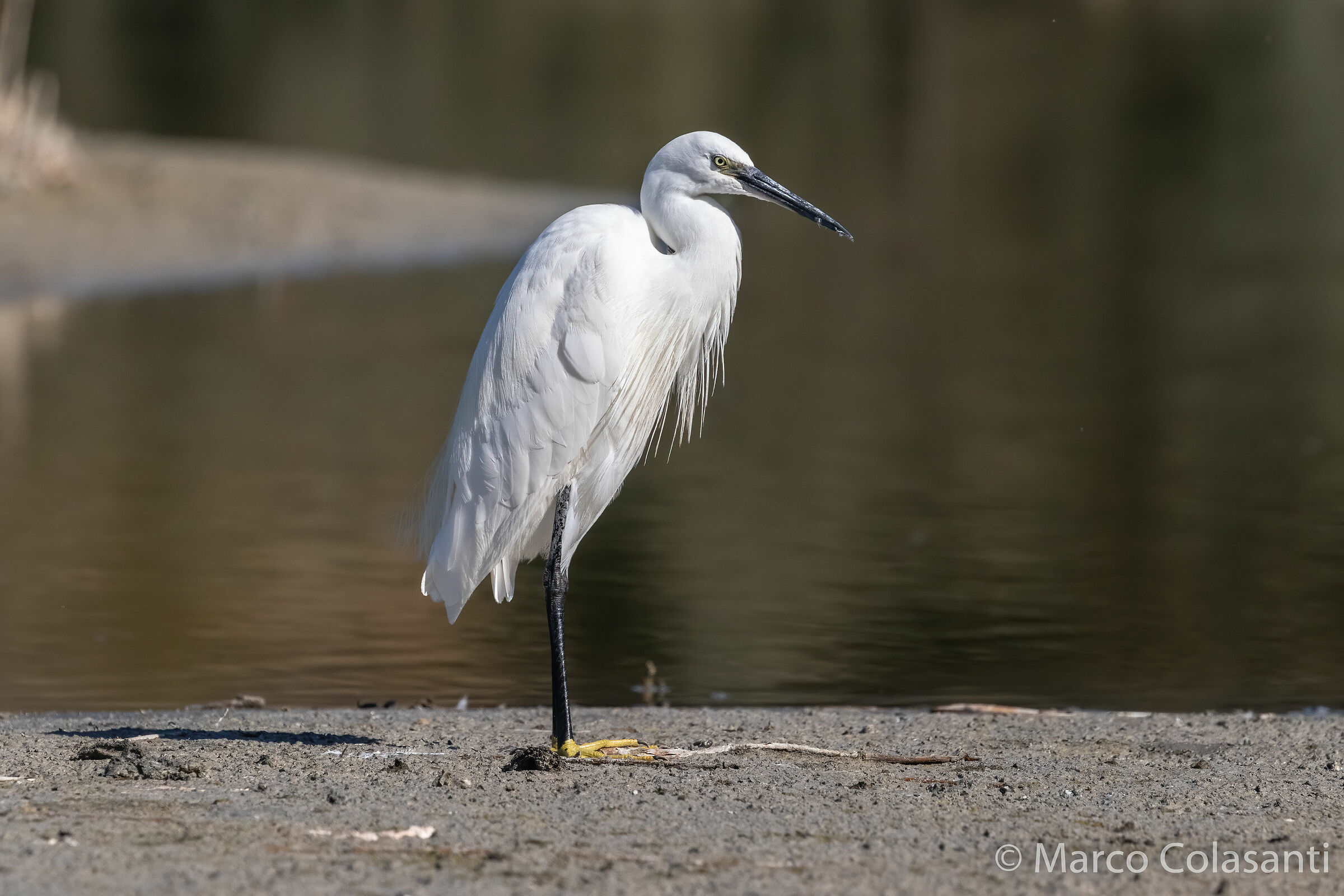here I am ready and posing....
