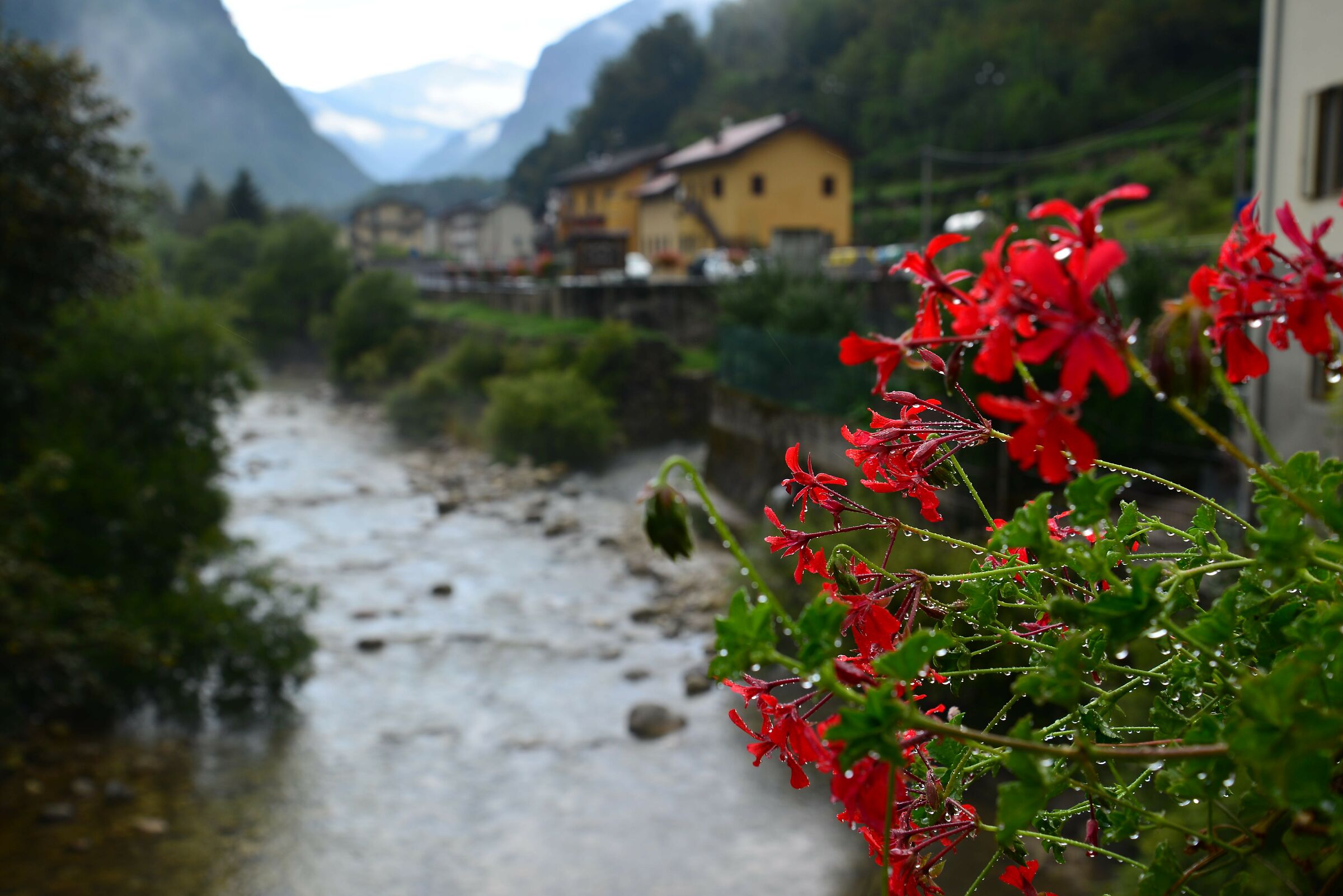 Pioggia sul fiume