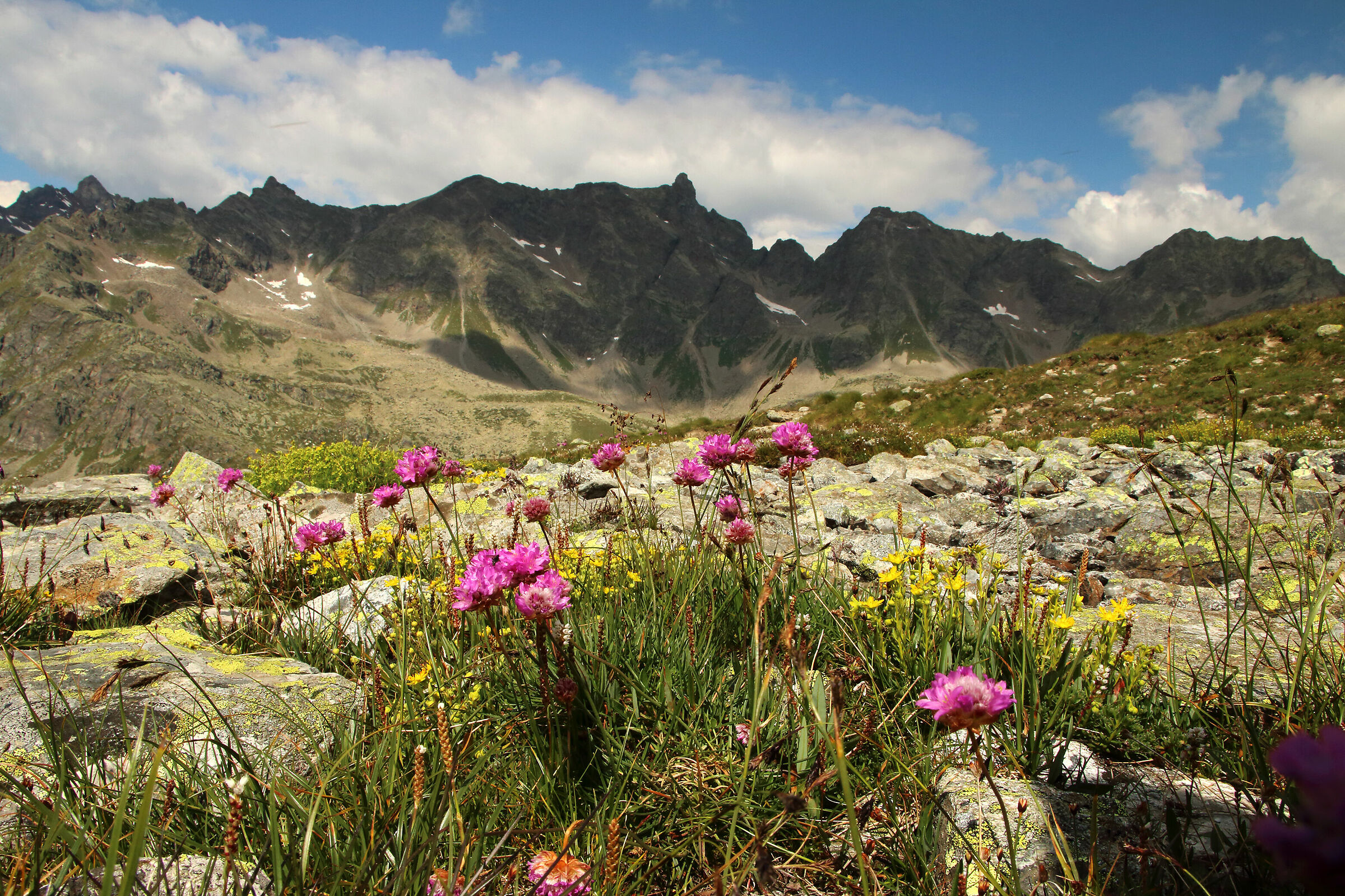 alte vallate di Grosio
