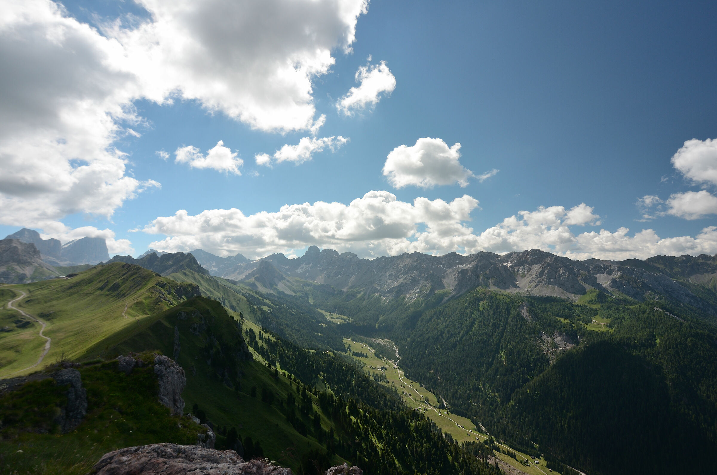 Col D'Adams
