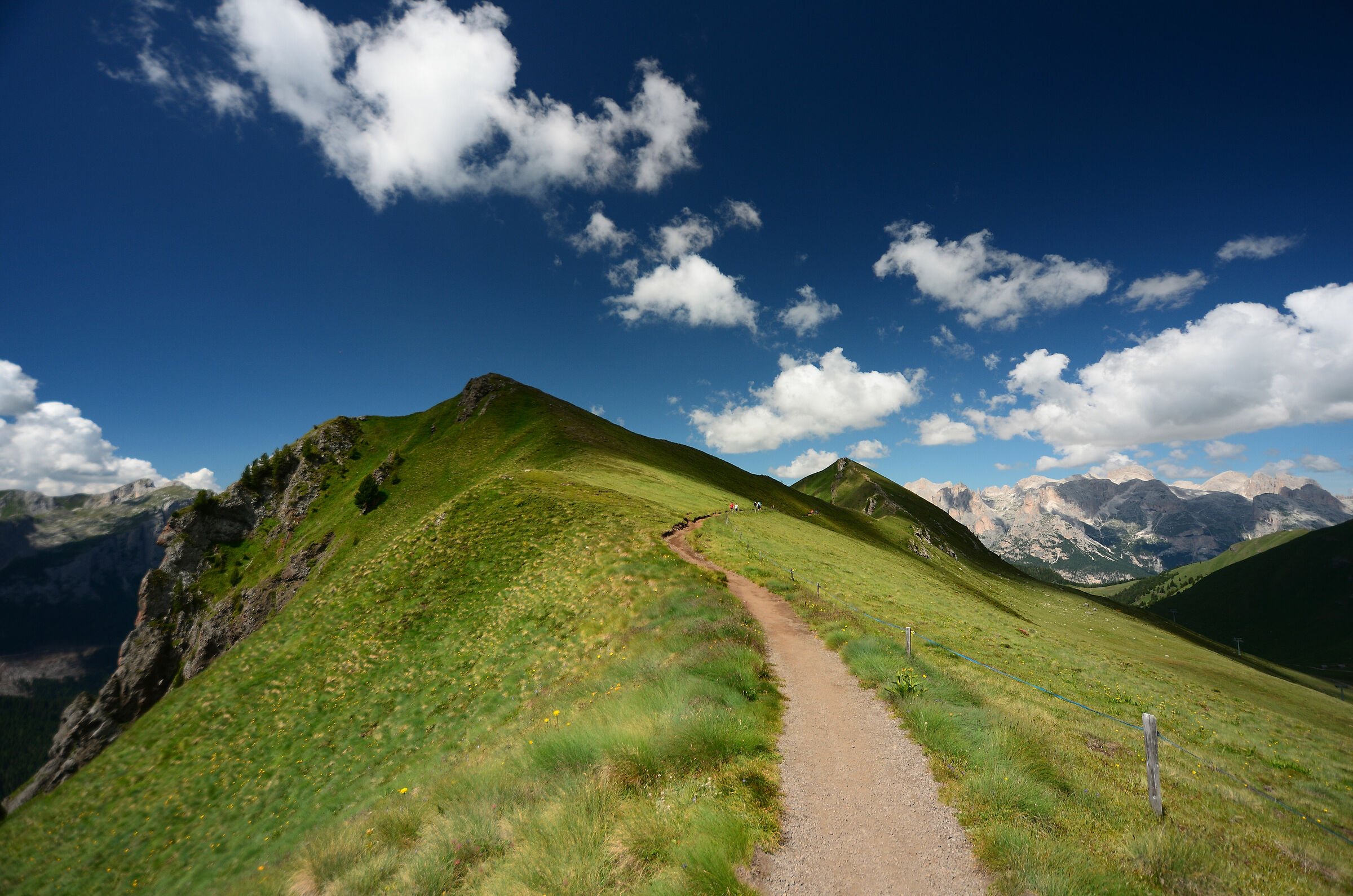 Col D'Adams_2