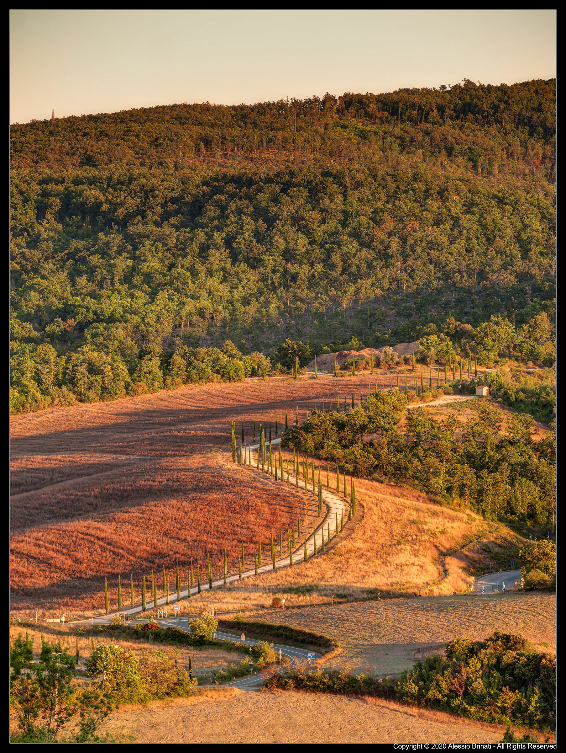 colline senesi
