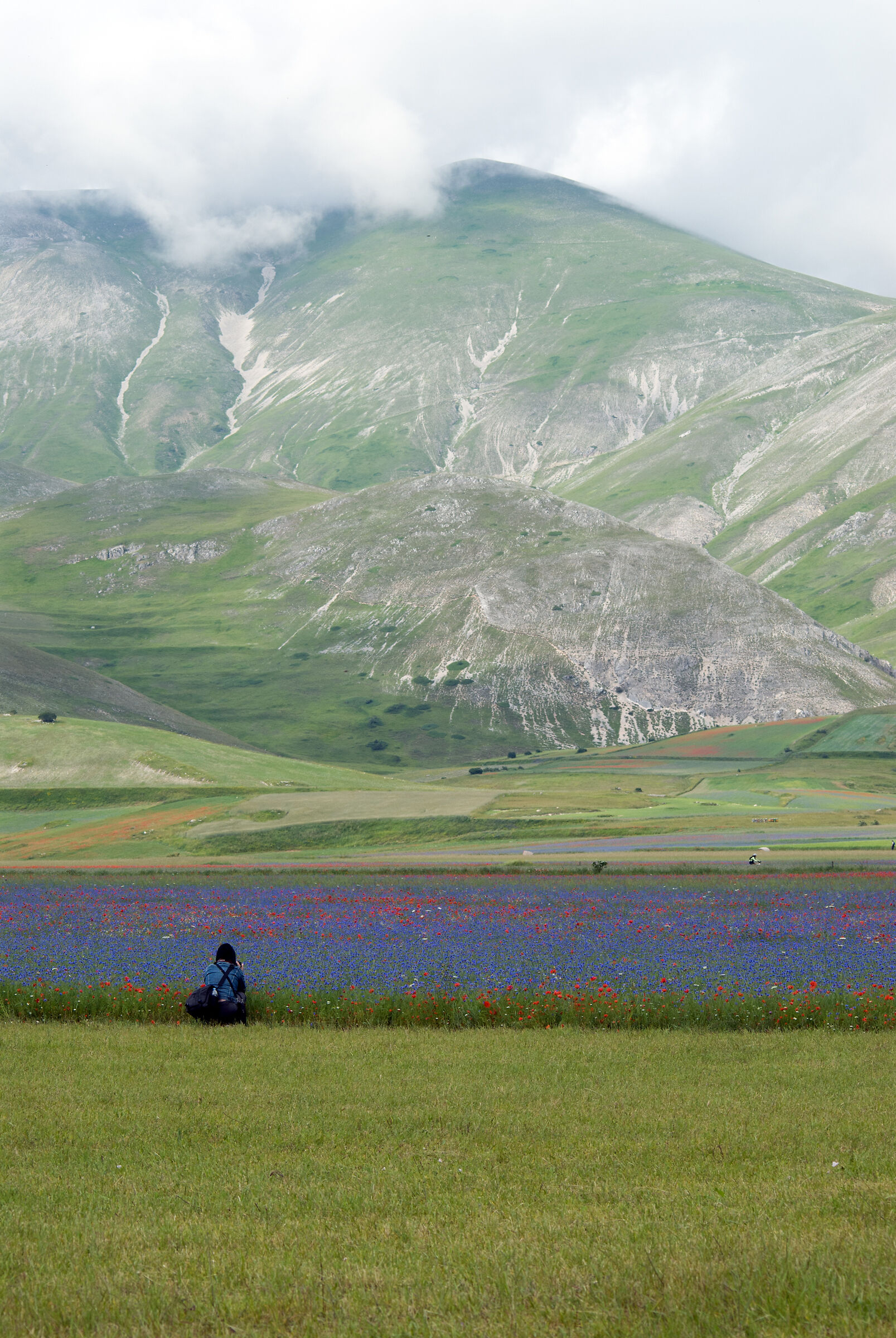 attenzione ai particolari