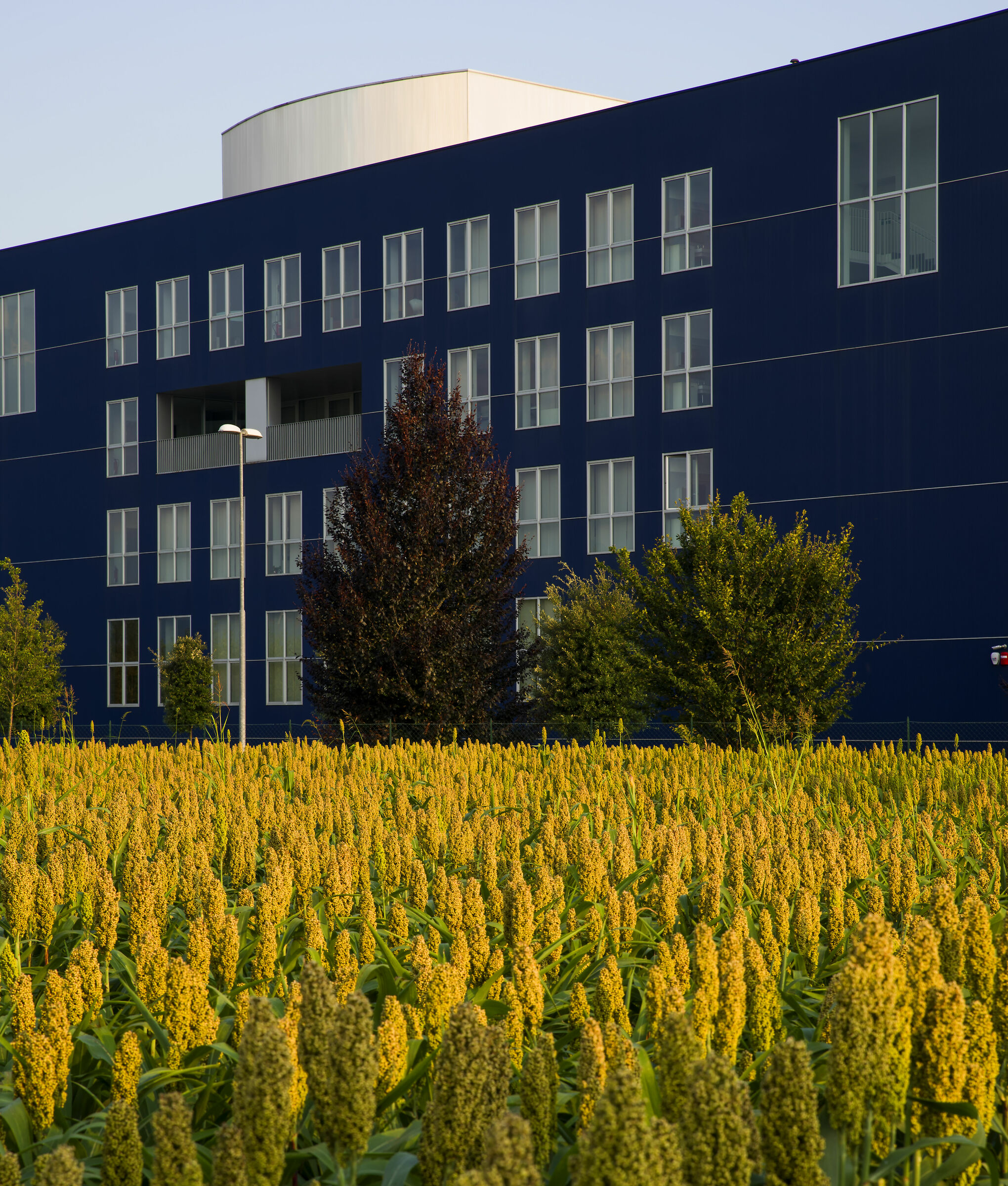 esperimenti ispirati al grande Franco Fontana