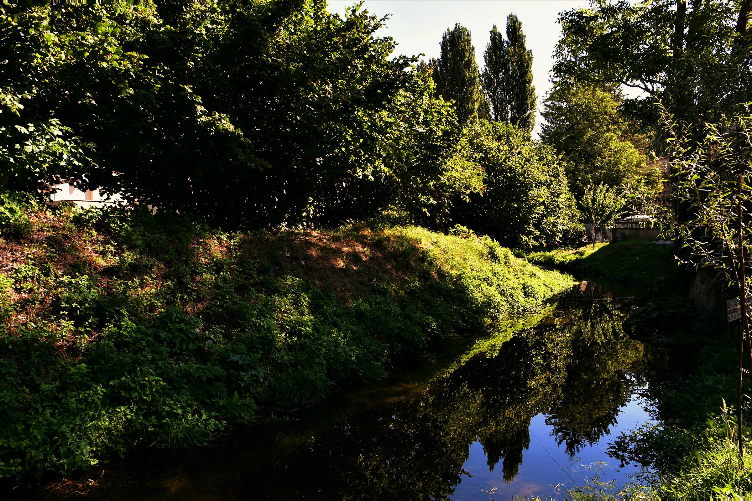Reflections along the river......