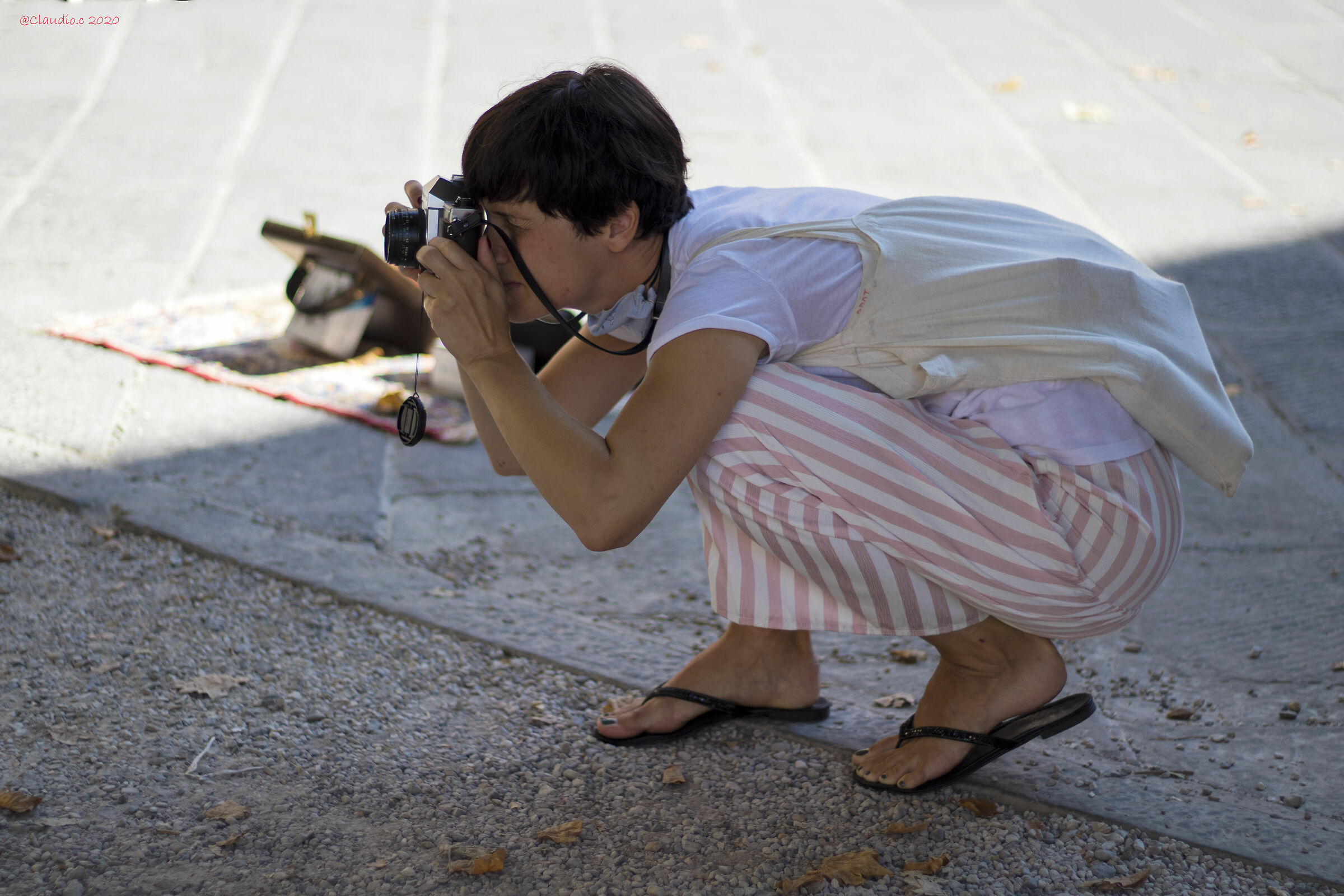 L'eleganza del cigno