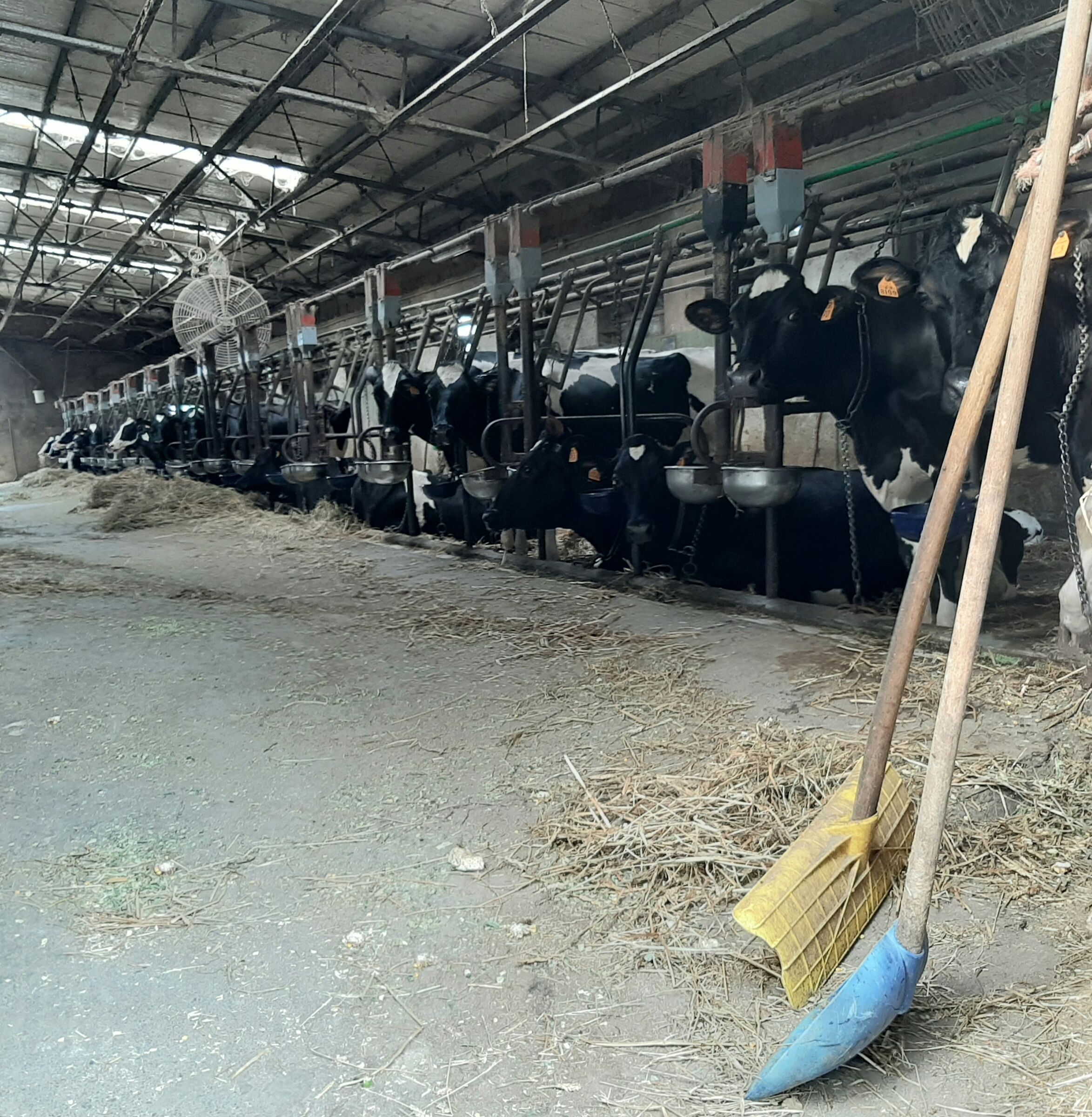 Ferragosto in campagna