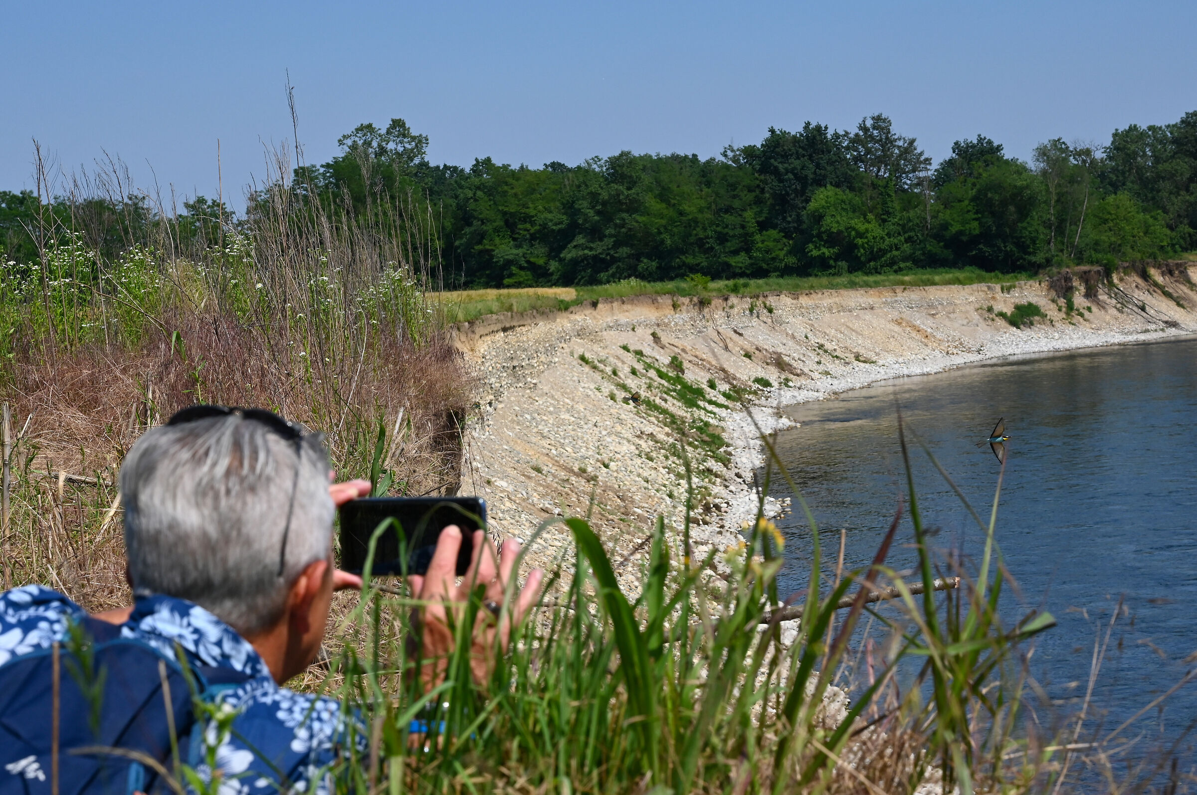 Avifauna turistica…!?