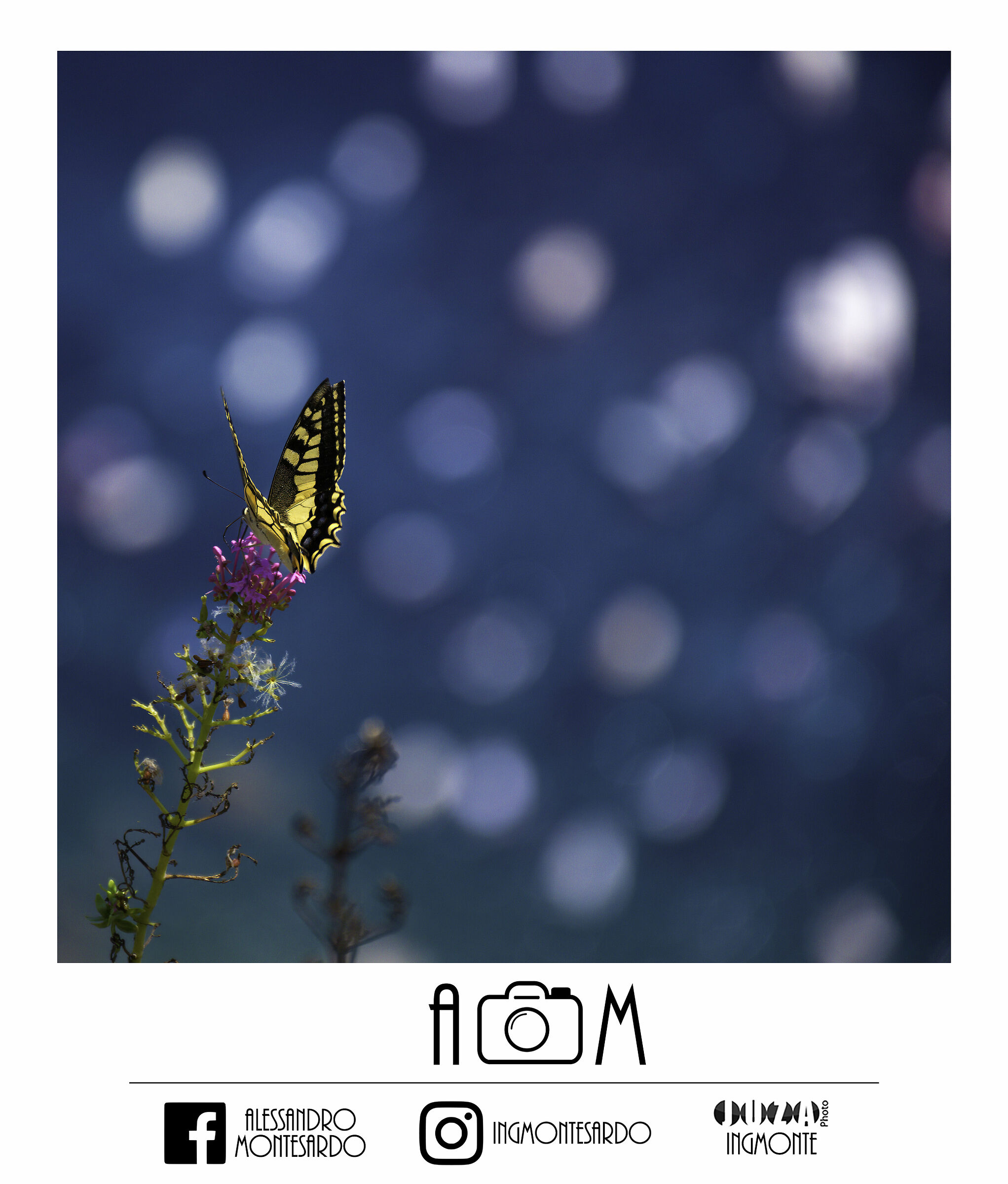 Over the sky, between rainbow and light - August 2018
