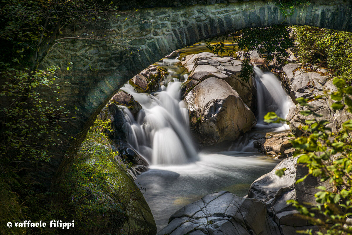 Under the Bogna Bridge