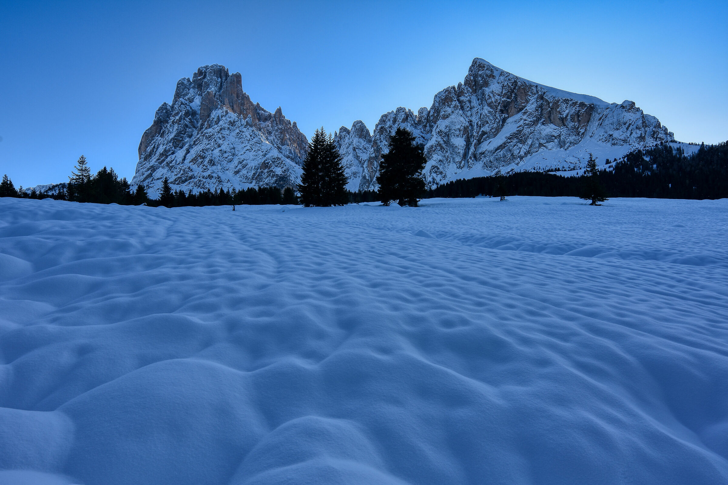"Alpe di Siusi"