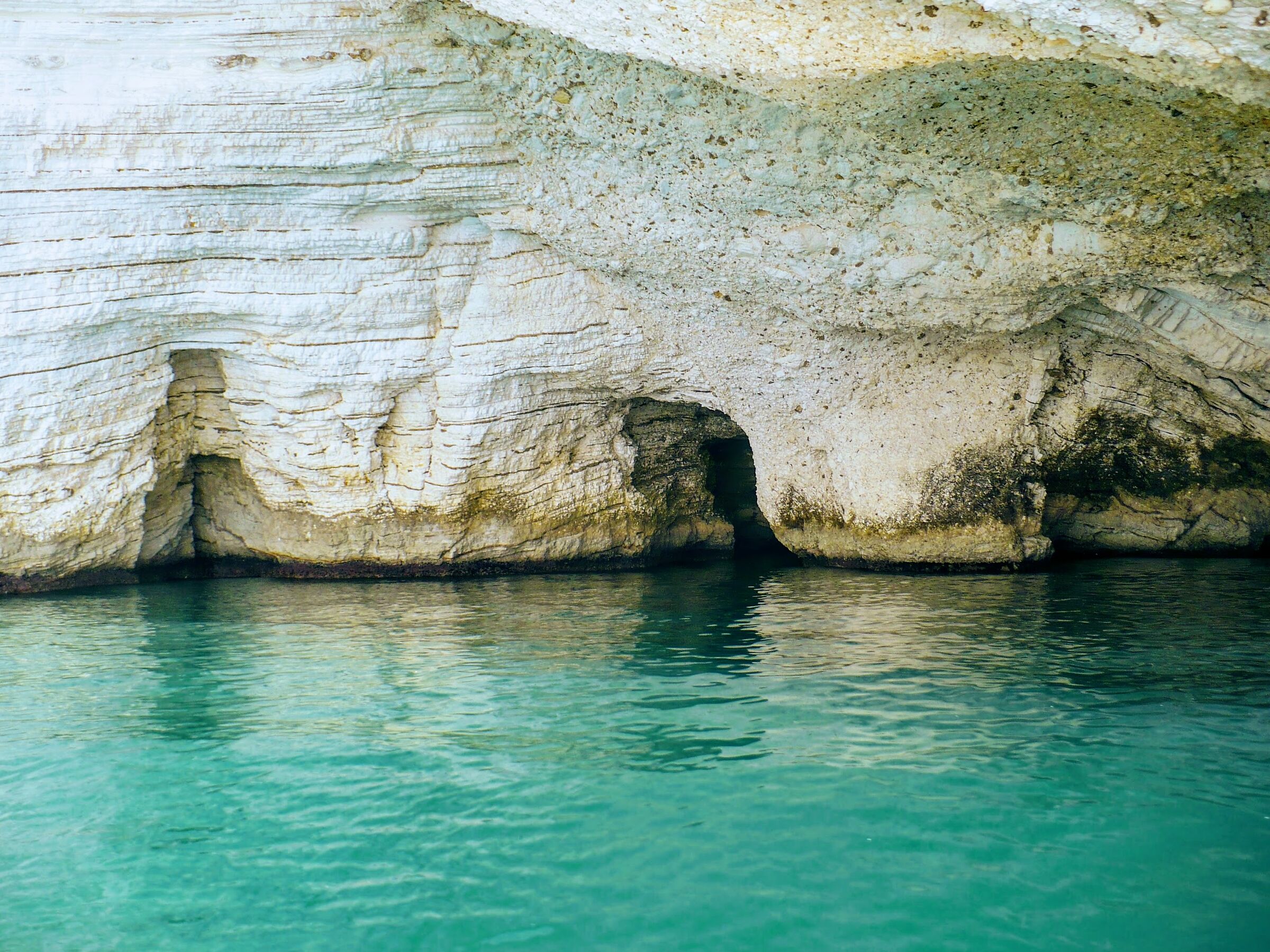Sedimentazioni garganiche