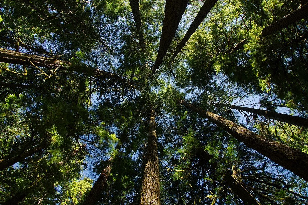 Ai piedi dei giganti...