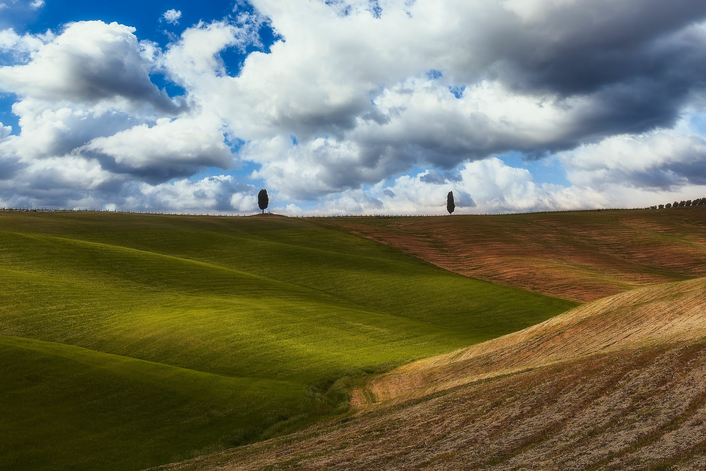 Tuscan Hills