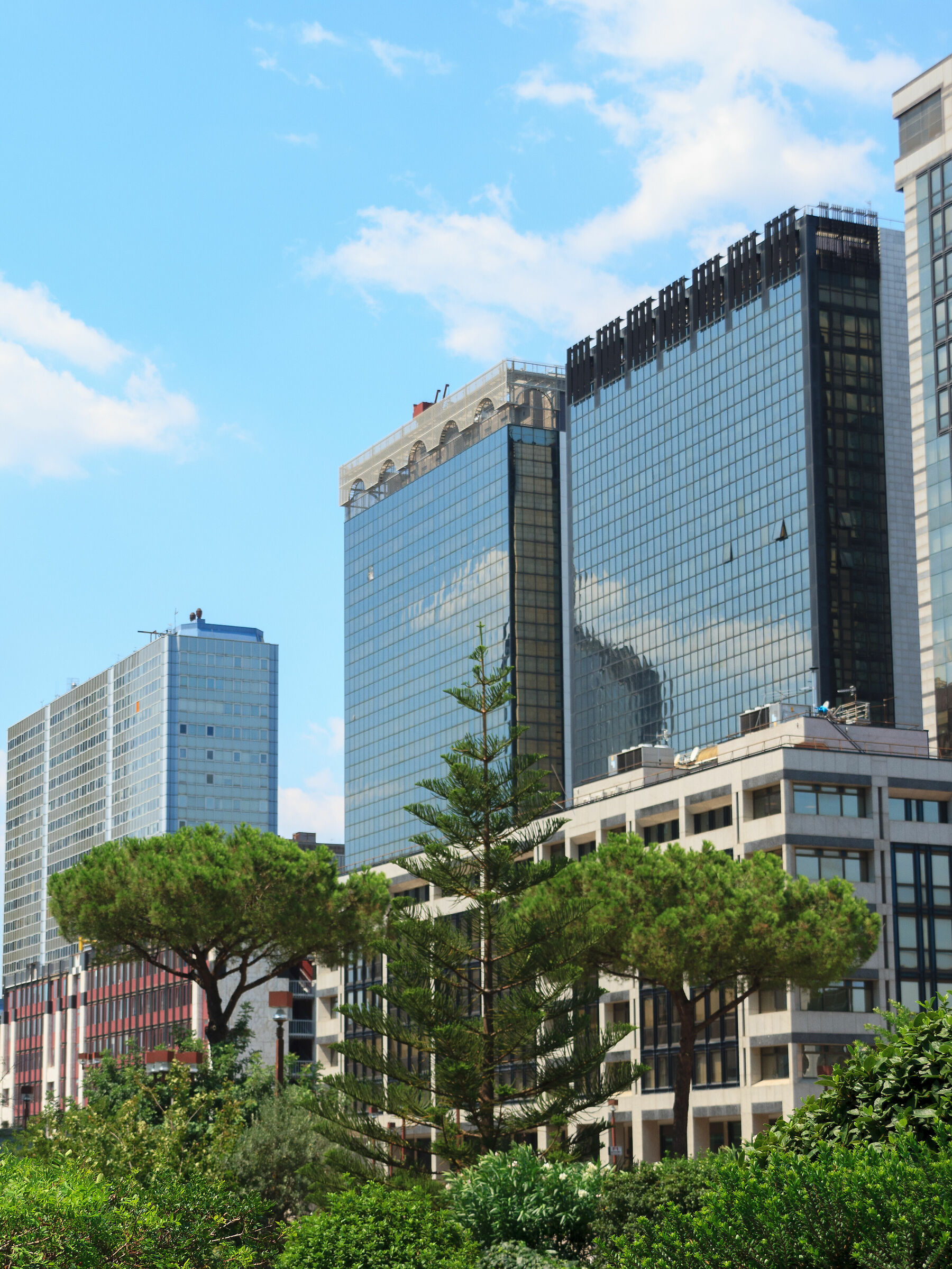 Pini - gemelli diversi