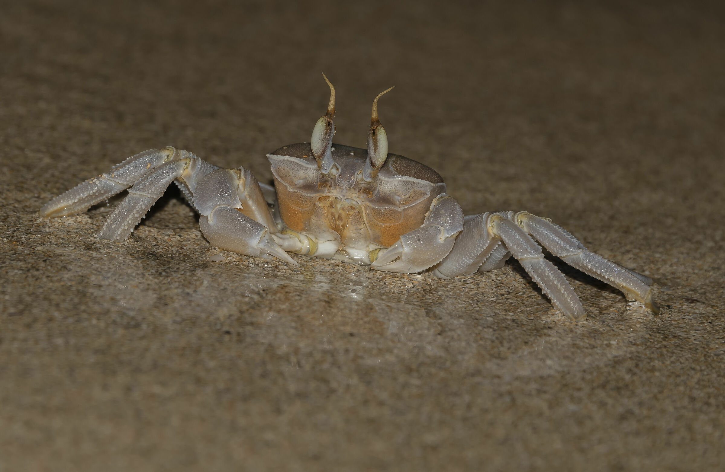 Between the night and the morning of 23 and 24 August 2020 -