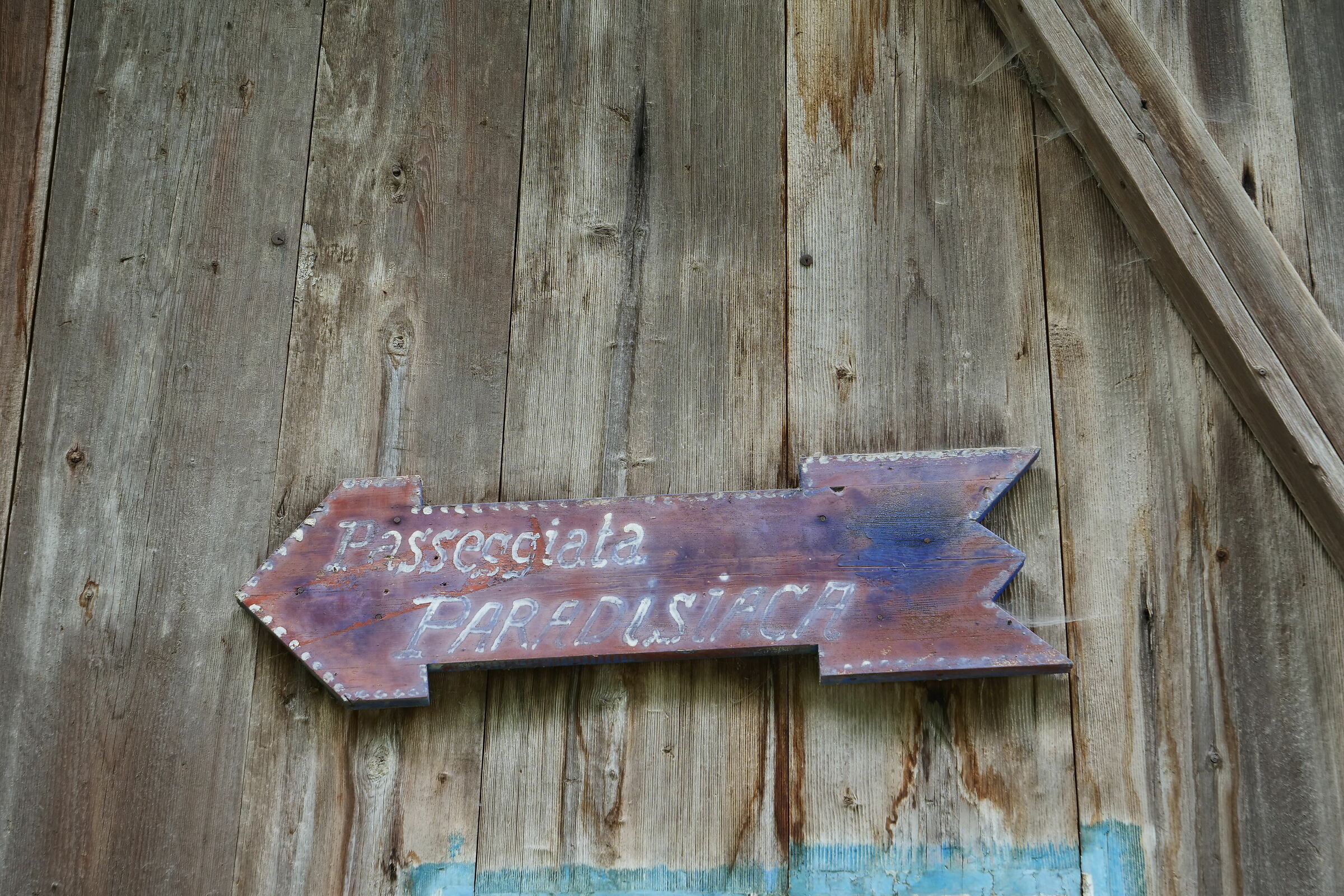 Untitled Photo