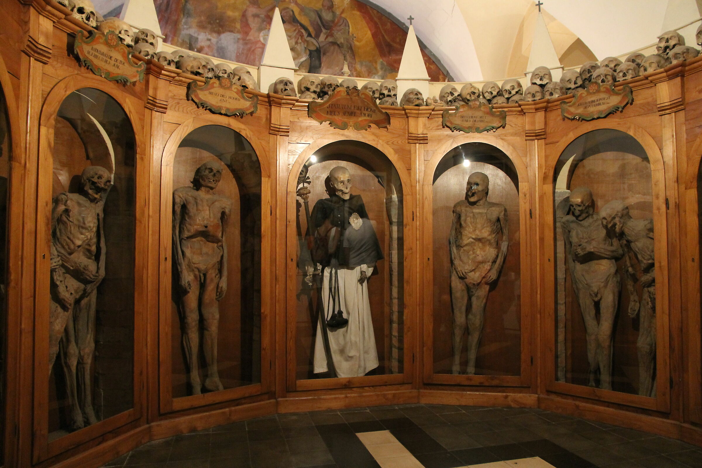 Museo delle Mummie